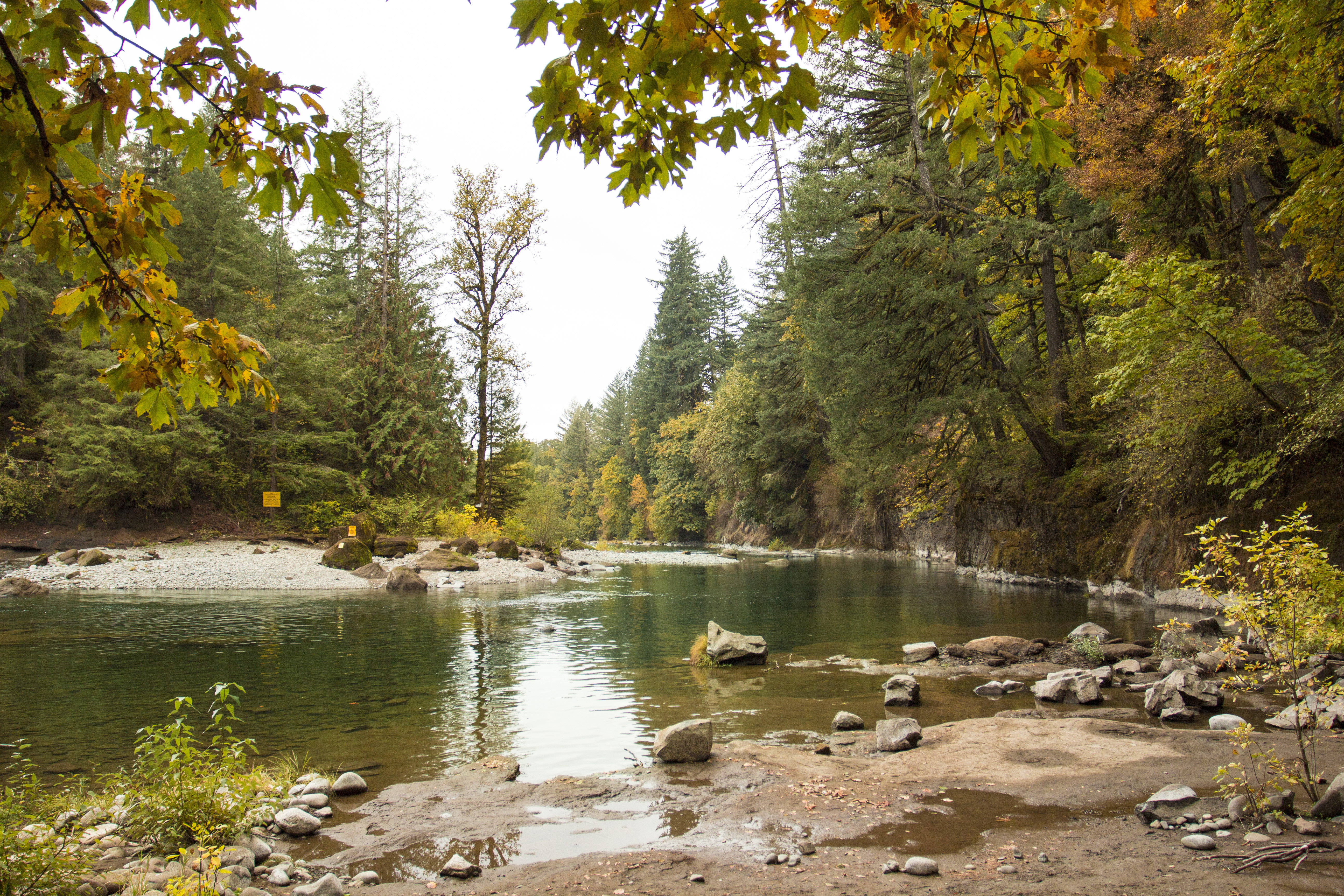 Santiam River at Cleator Bend, Oregon, Autumn, Fall, Foliage, Forest, HQ Photo