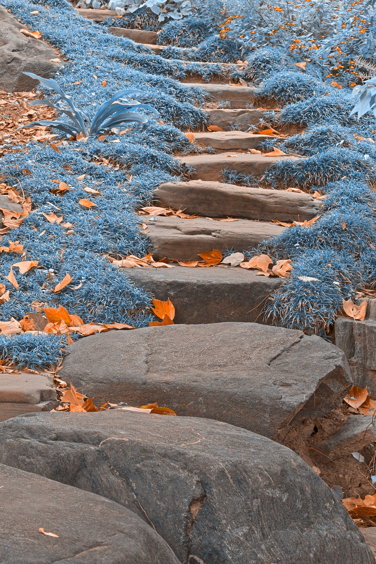 Sapphire stepping stones - hdr photo