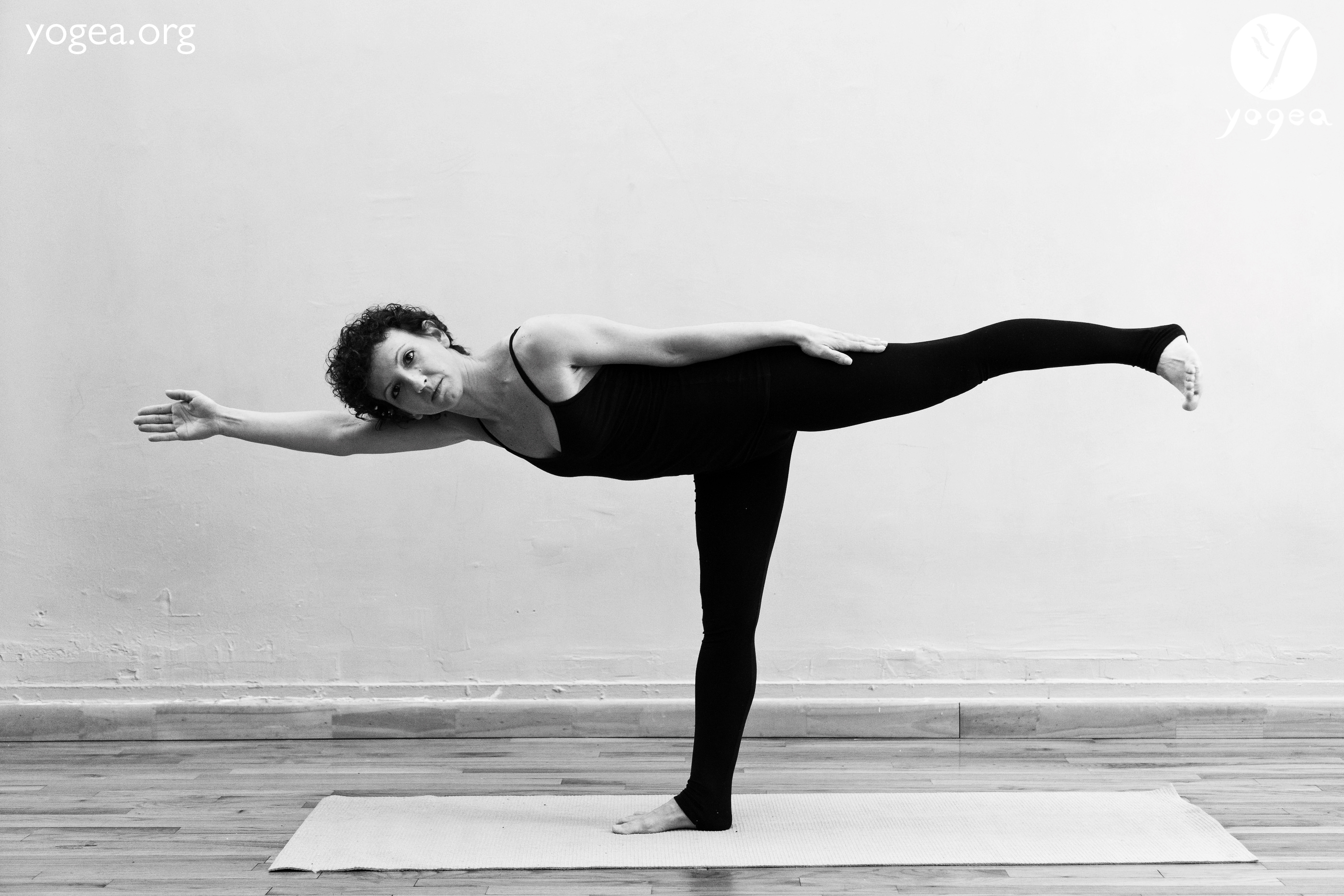 Revolved Warrior 3/Scale pose | YOGEA | Innovative Yoga