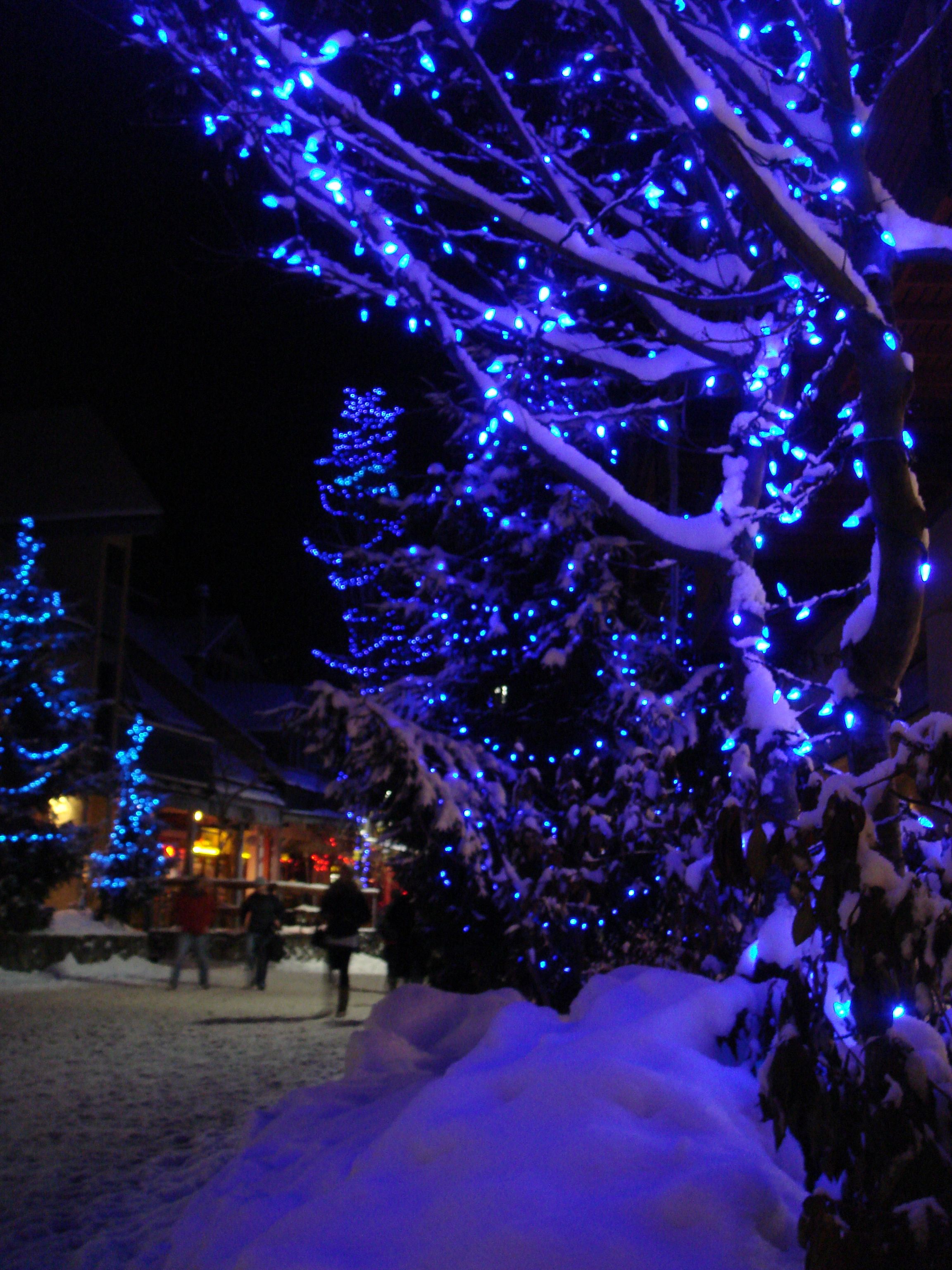 Blue Christmas Whistler Village Christmas Lights....absolutely ...