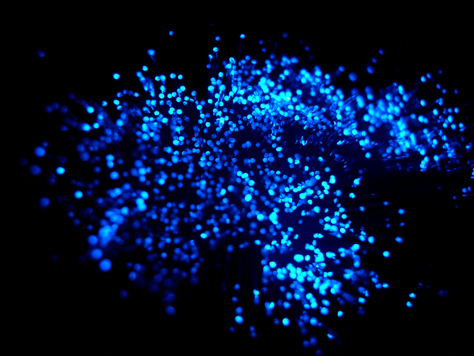Free photo: Scattered blue lights - Blue, Cloud, Digital - Free Download -  Jooinn