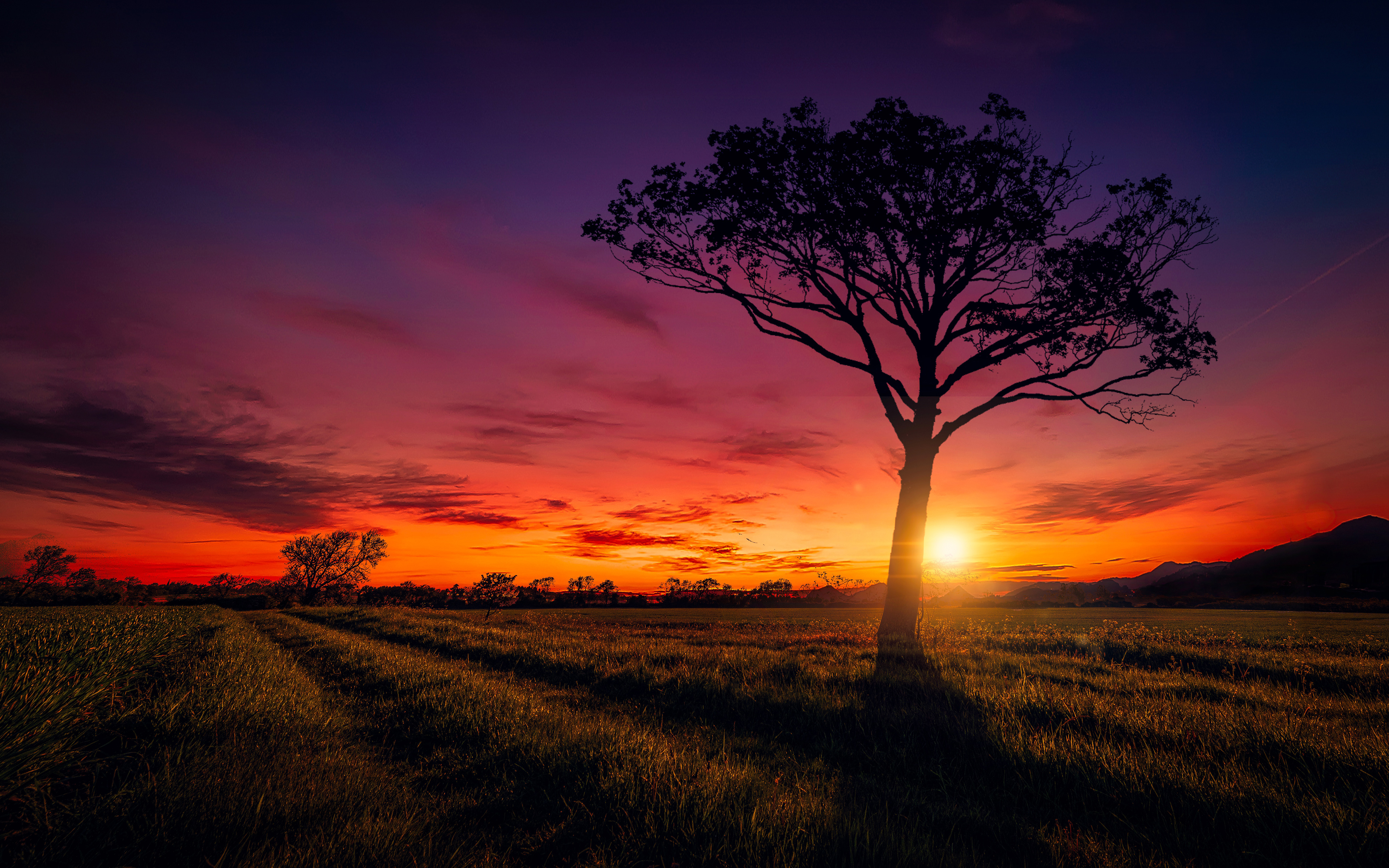 Sunset Scenery Wallpapers | HD Wallpapers | ID #20047