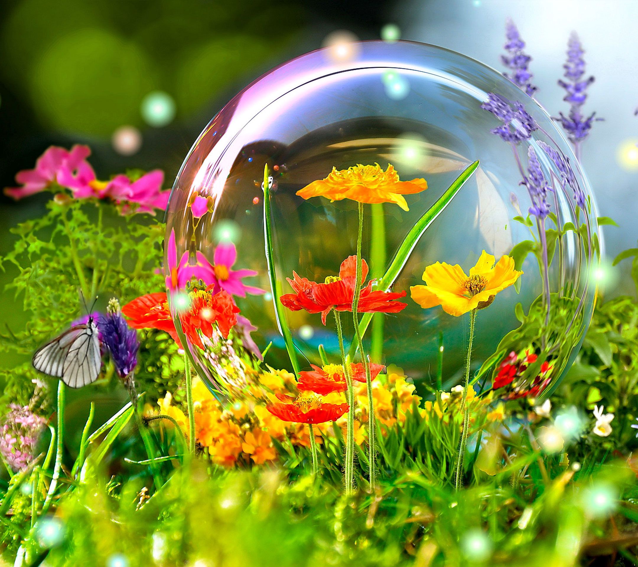 2160x1920 Spring flowers nature scene hd wallpapers free download ...