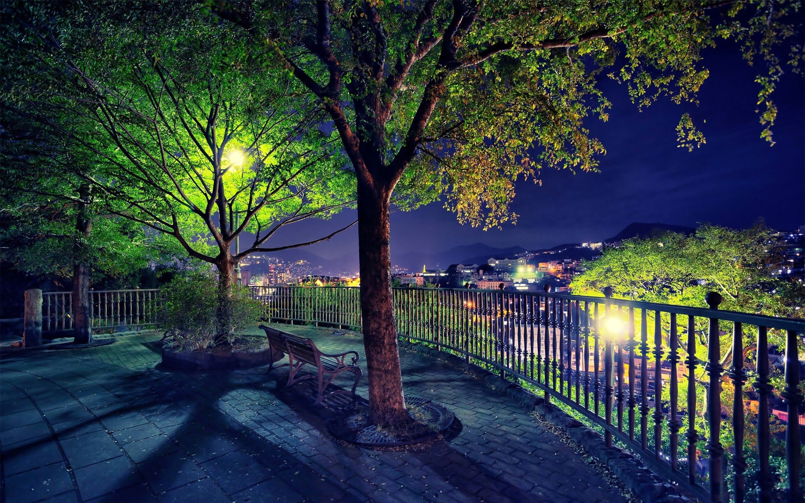 Miscellaneous: Scene Nature Trees Bench Amazing Wide Screen HD 16:9 ...
