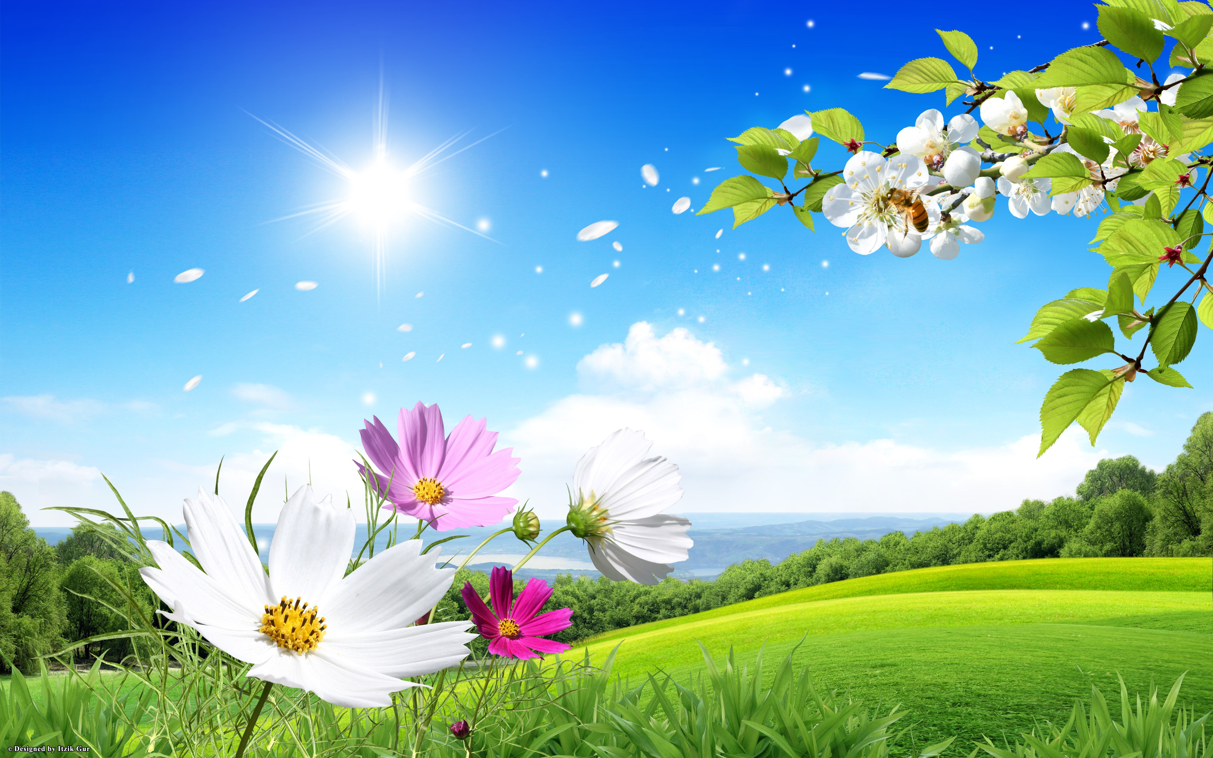 Flowers: Scene Spring Nature Green Field Flowers Wallpapers for HD ...