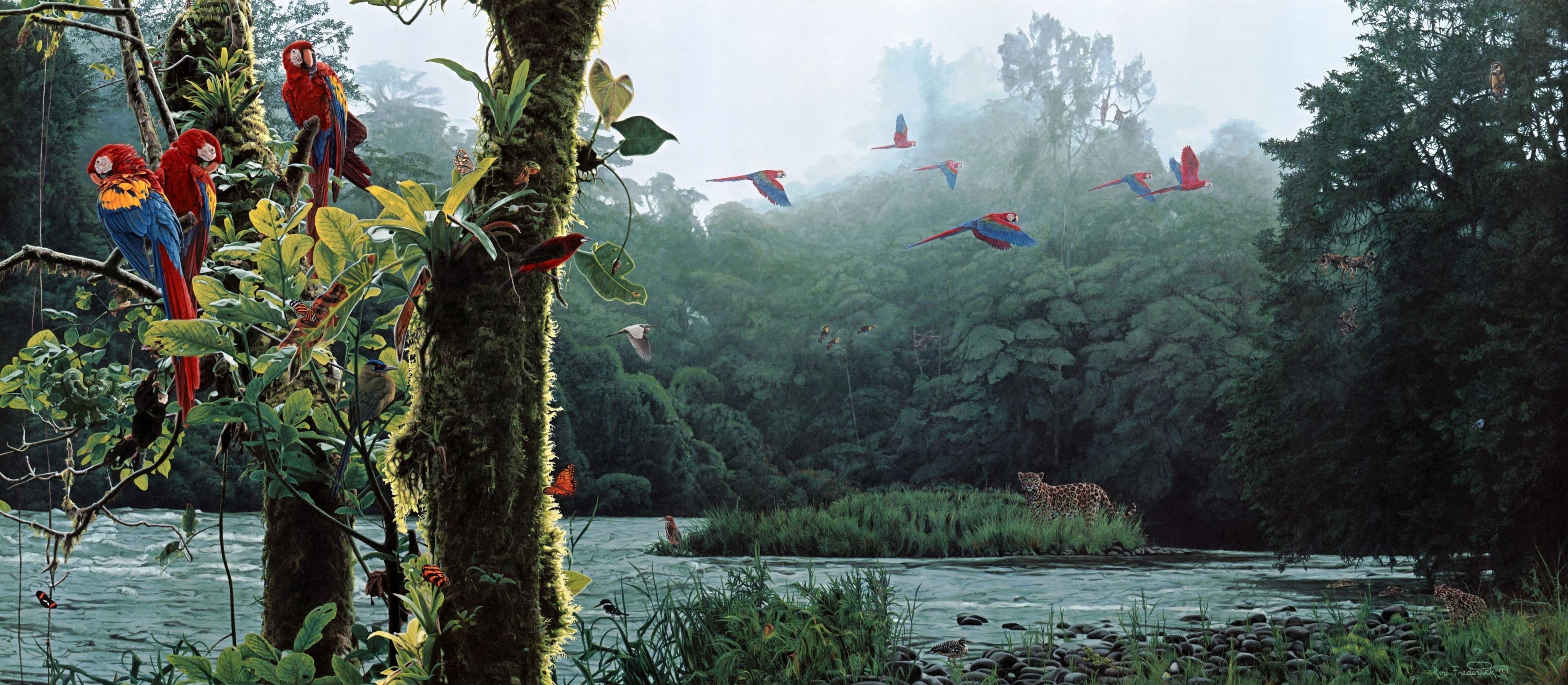 Birds: Parrot Landscapes Birds Paintings Flying Forest Jungle Rivers ...
