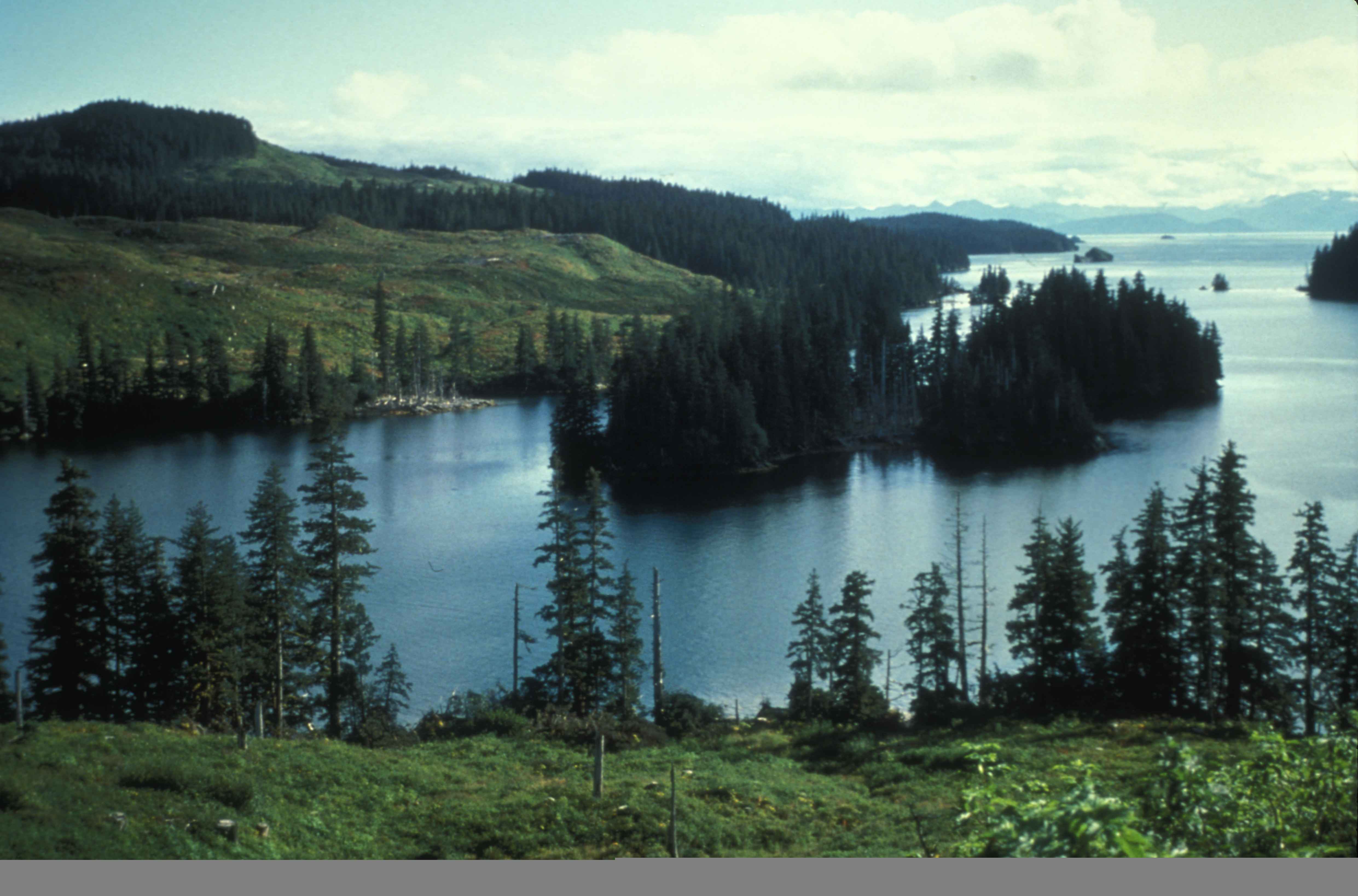 File:Scenic view of lagoon.jpg - Wikimedia Commons