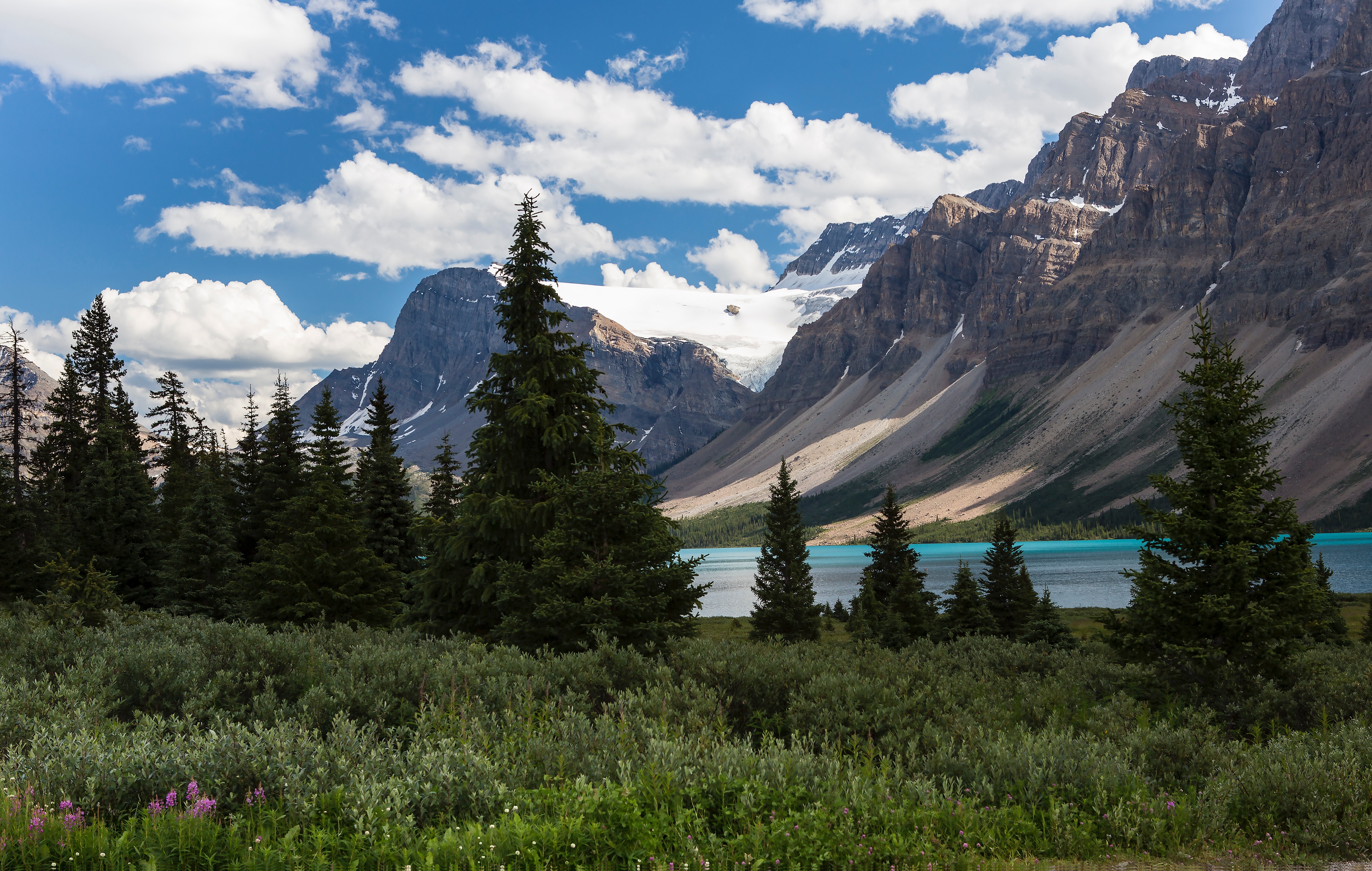 Scenic view at the banff national park photo