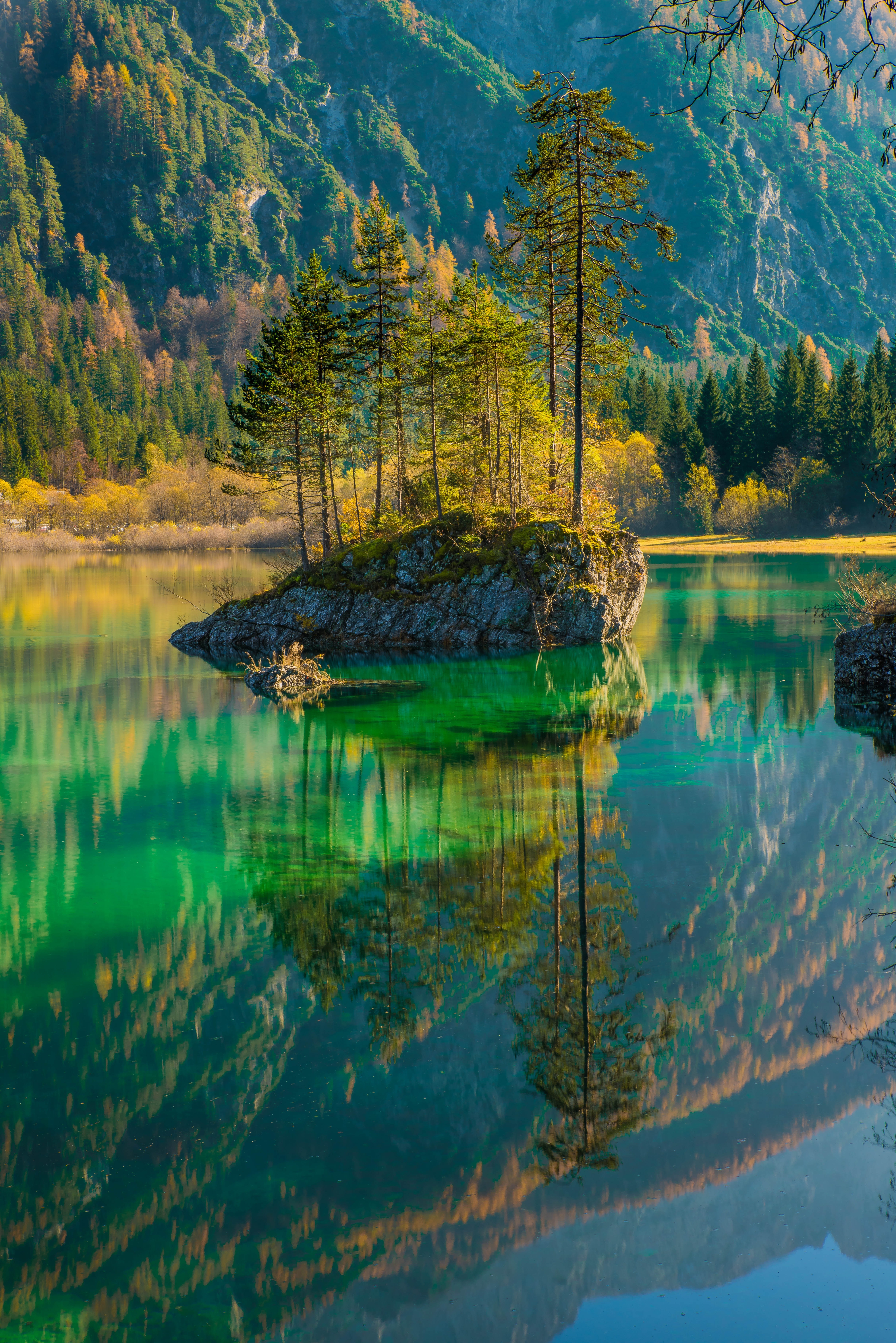 Scenic view of lake in forest photo