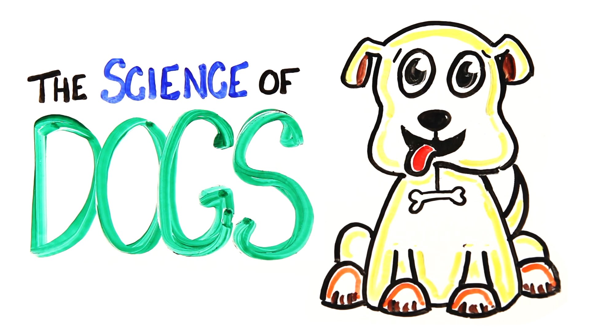 The Science of DOGS - YouTube