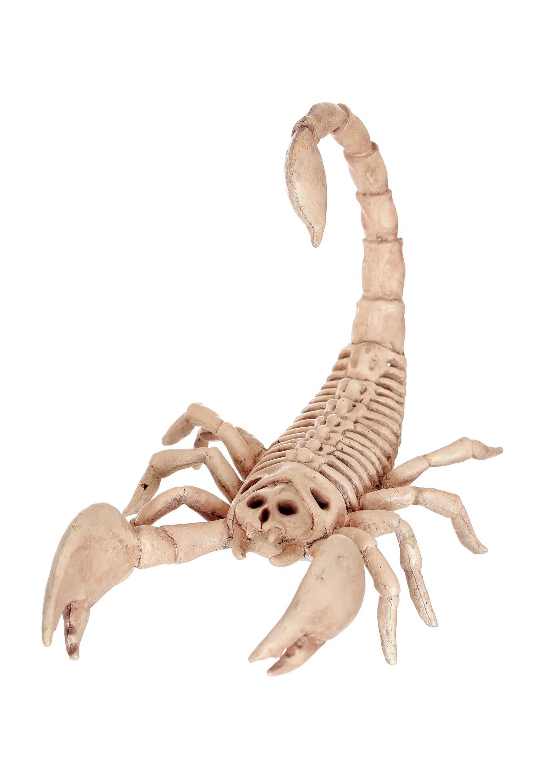 Mini Skeleton Scorpion