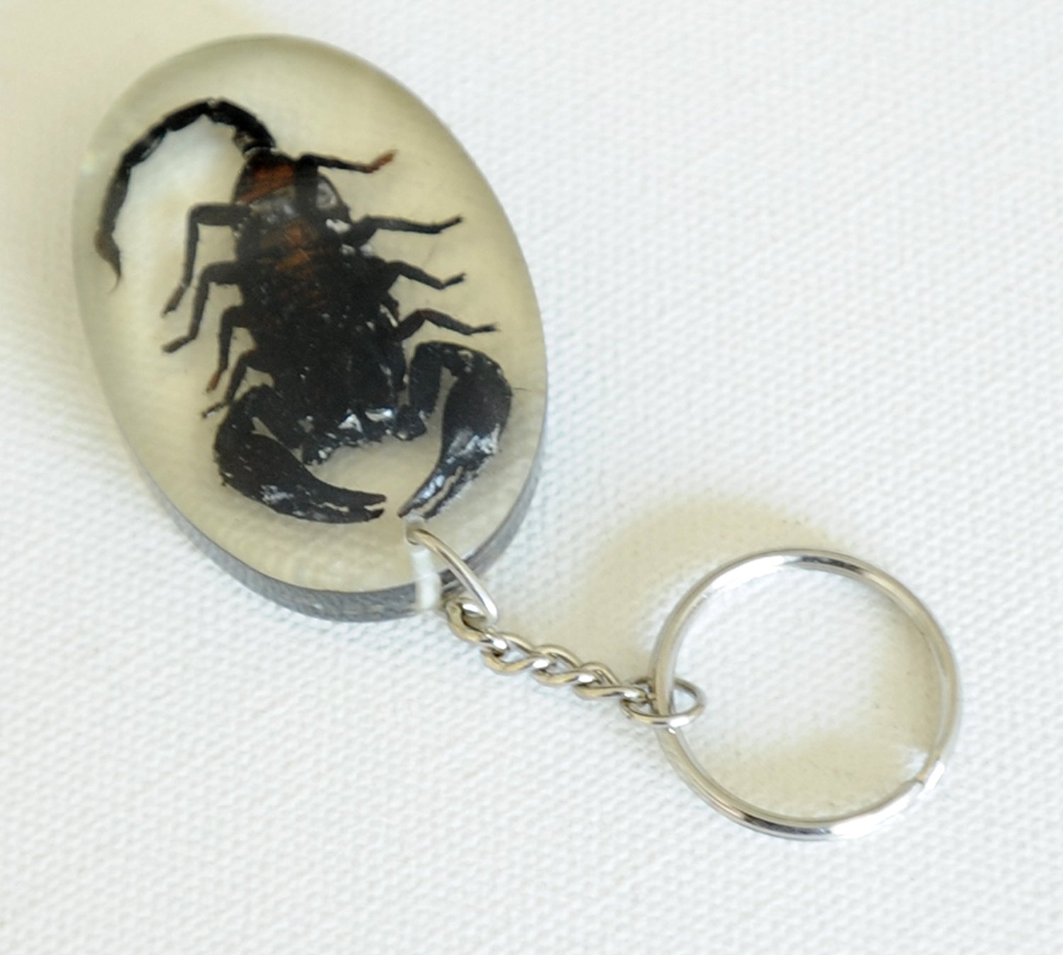 scorpion Key Ring, real small scorpion in acrylic - Insect Keychain ...