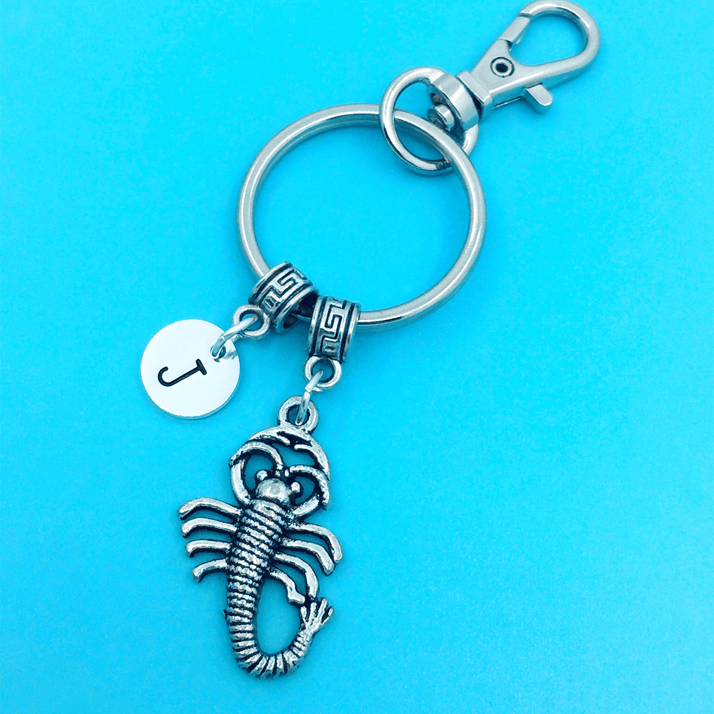 Scorpion keychain scorpion key chains best friend keychain