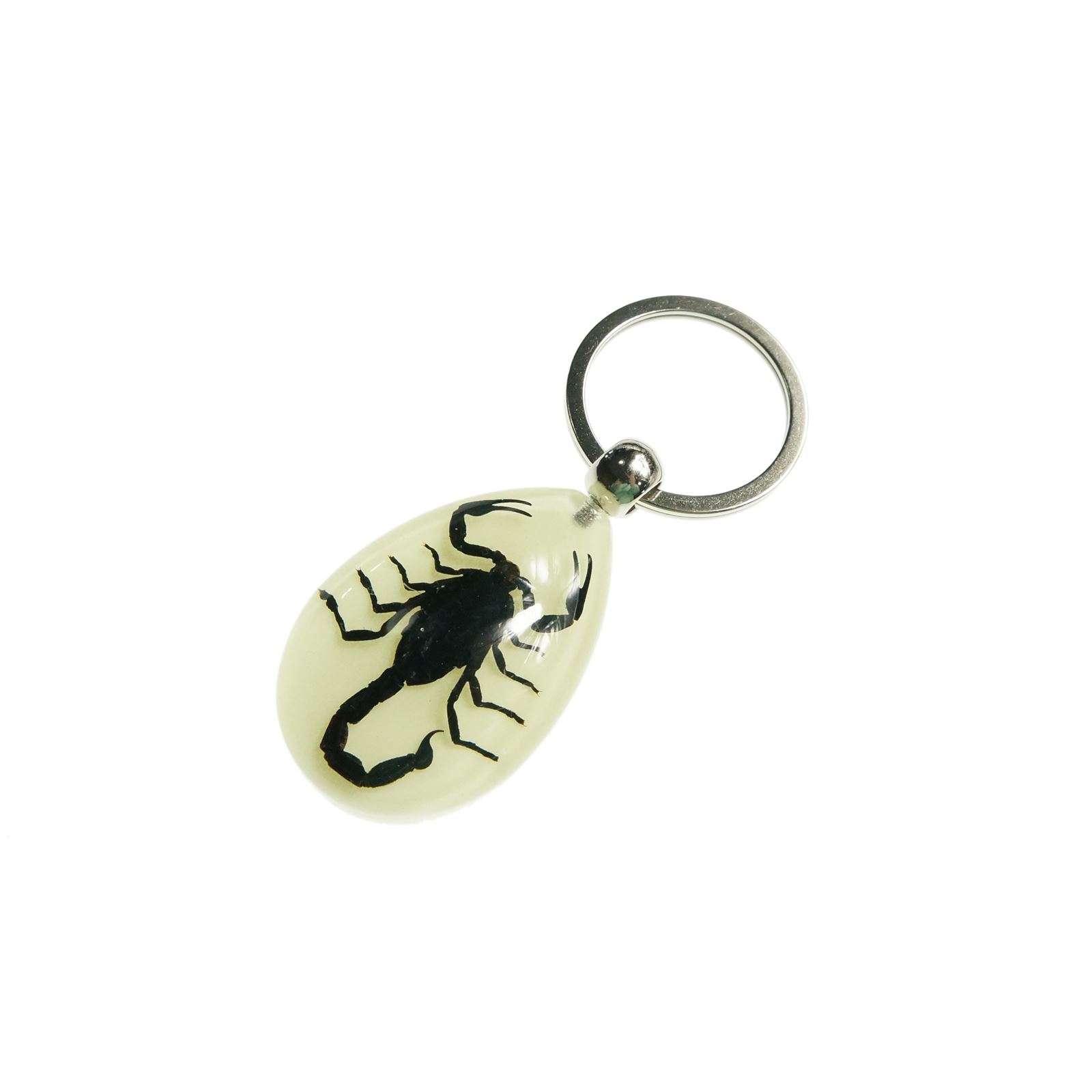 Real Crab Beetle Black Scorpion Insect Glow In the Dark Key Chain ...