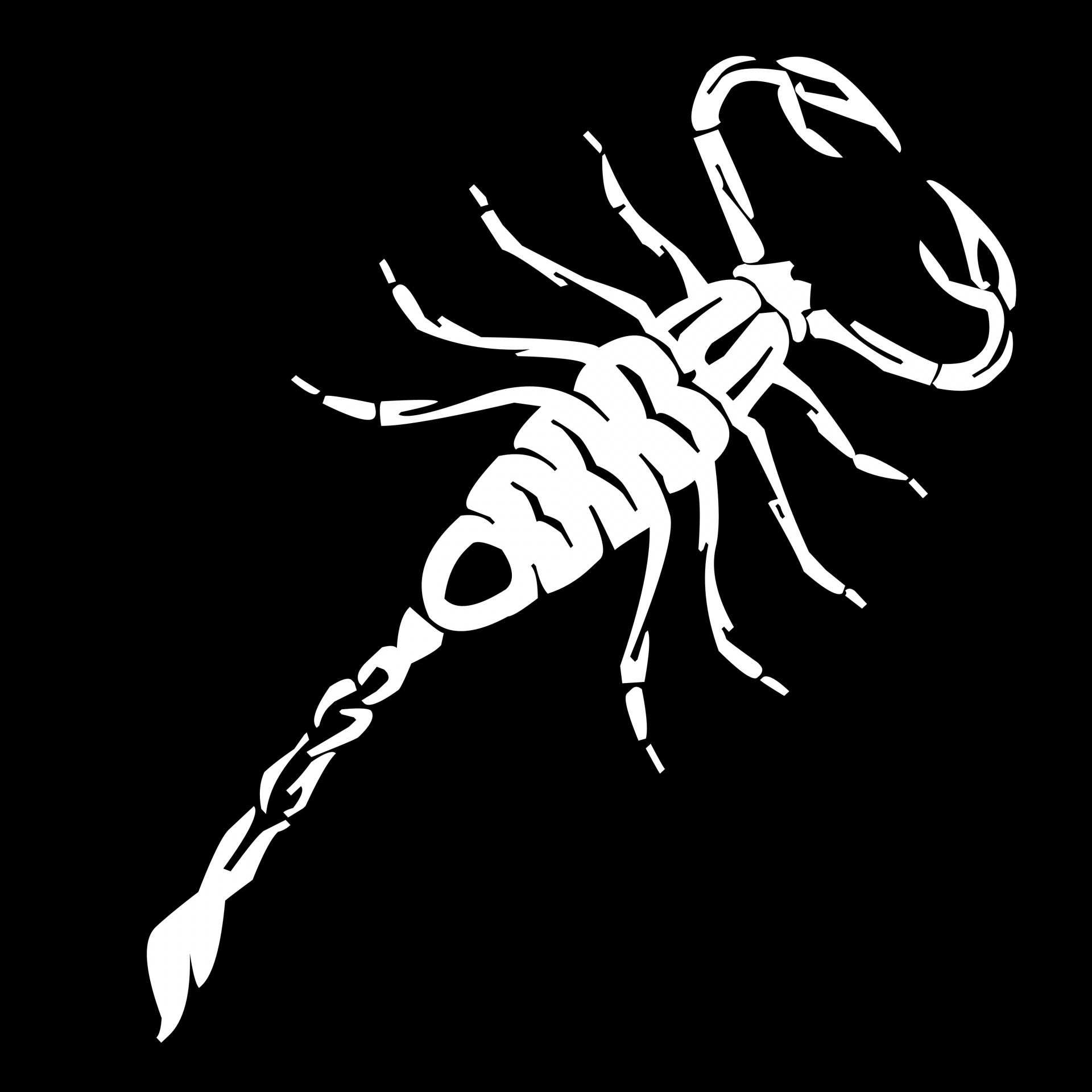 White Scorpion Free Stock Photo - Public Domain Pictures