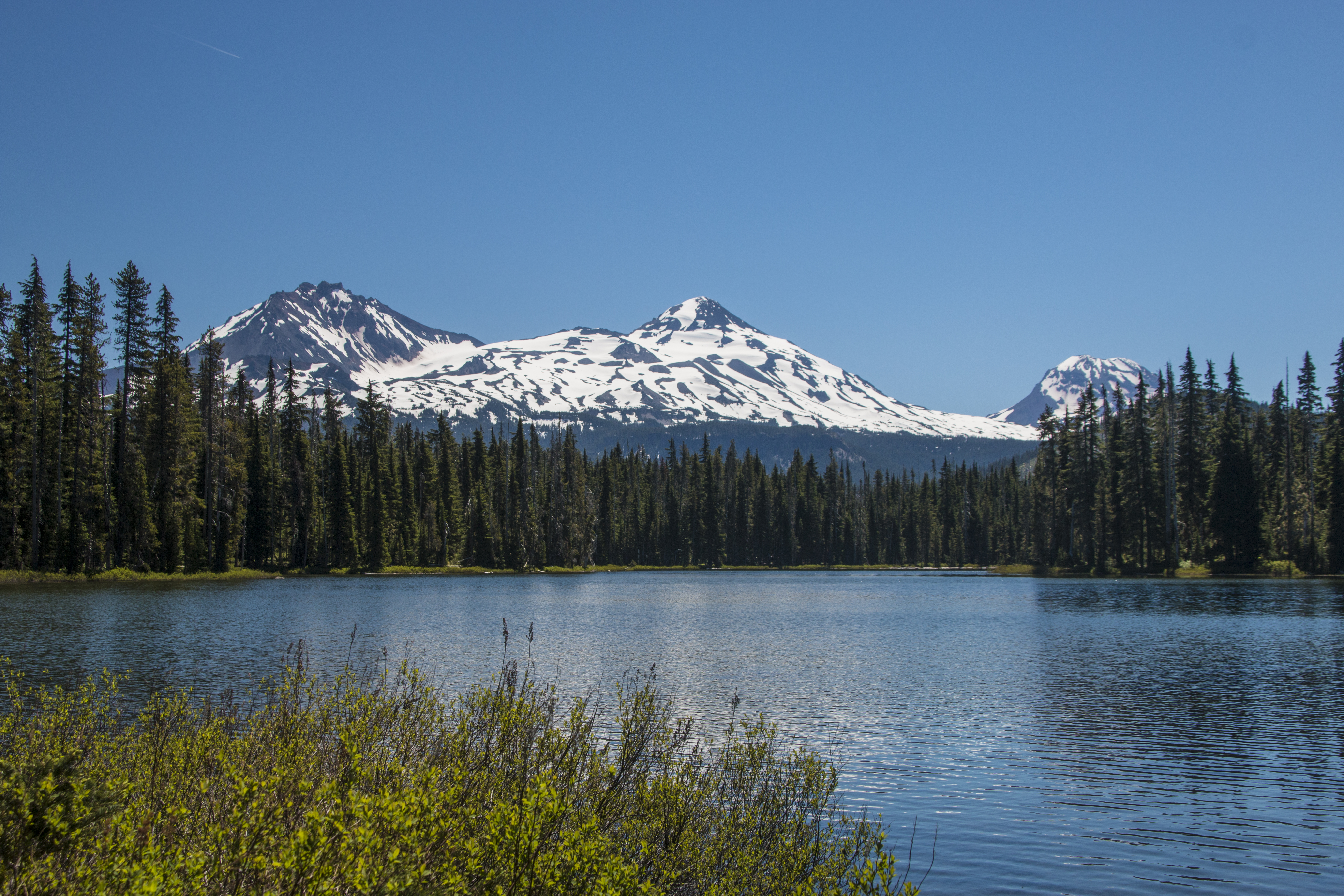 Scott Lake, Oregon, Forest, Grass, Lake, Mountain, HQ Photo