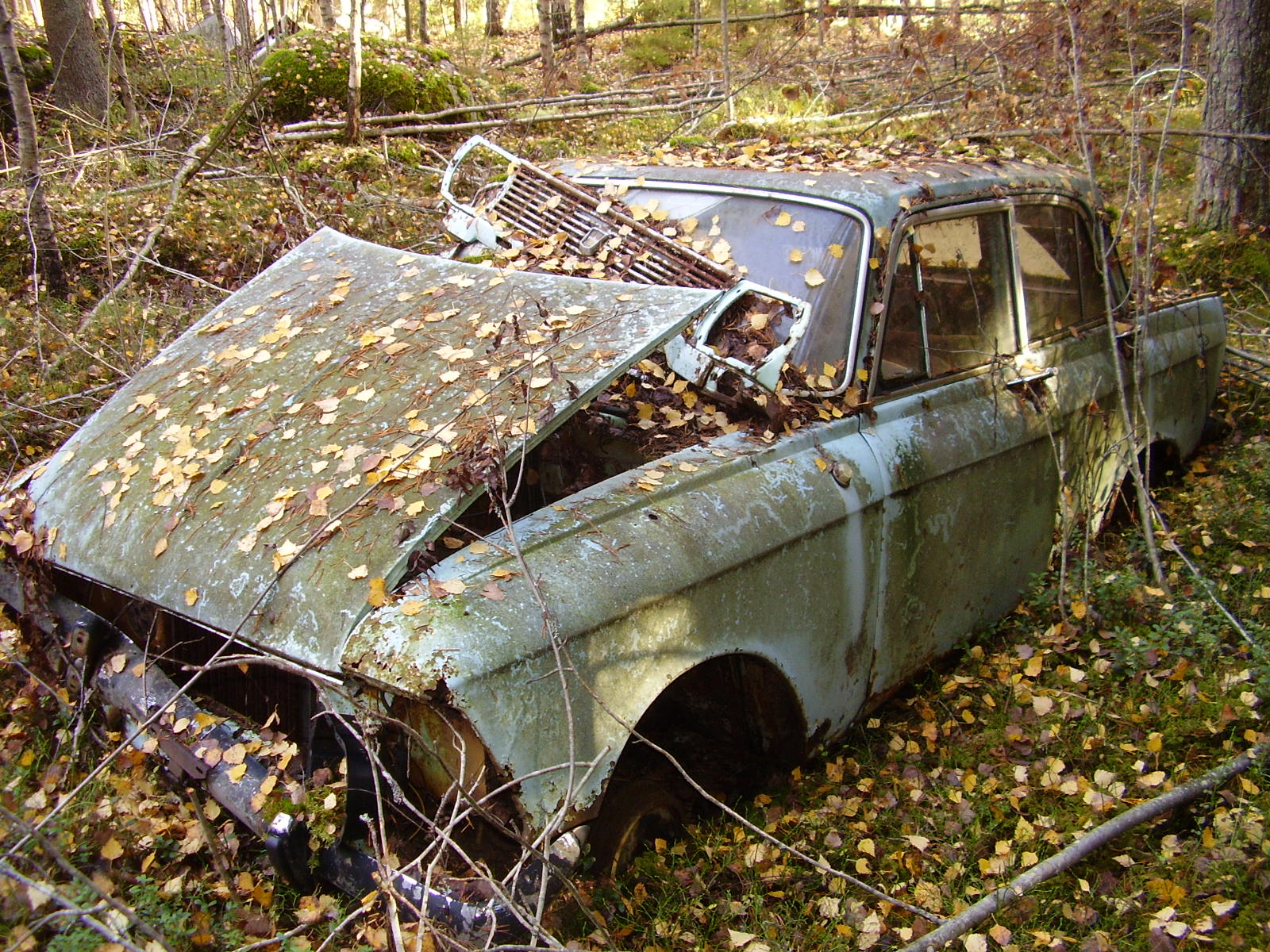 File:Scrap car in the woods.JPG - Wikimedia Commons