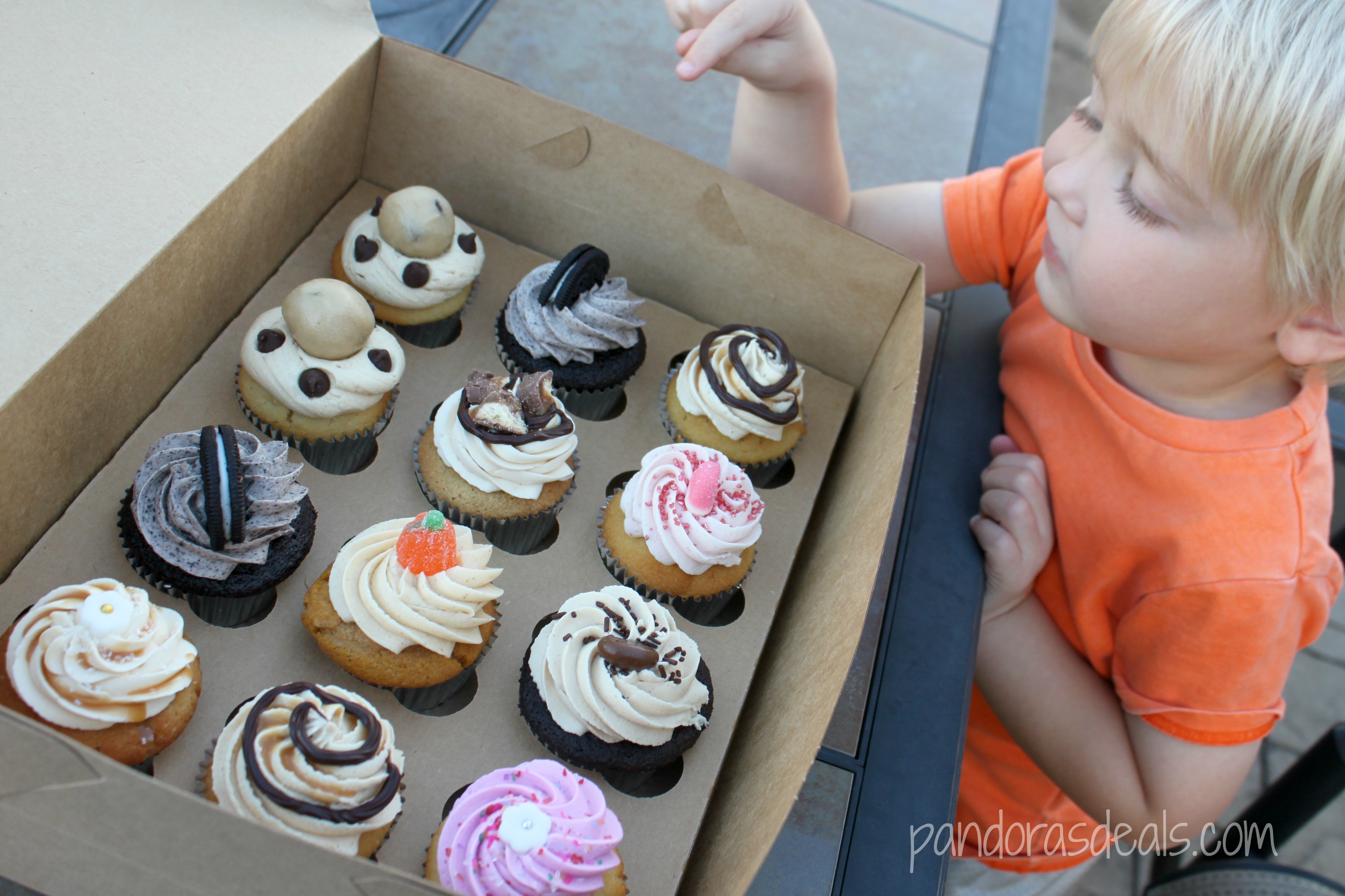 Scratch Cupcakes in Lancaster County PA - See Mom Click