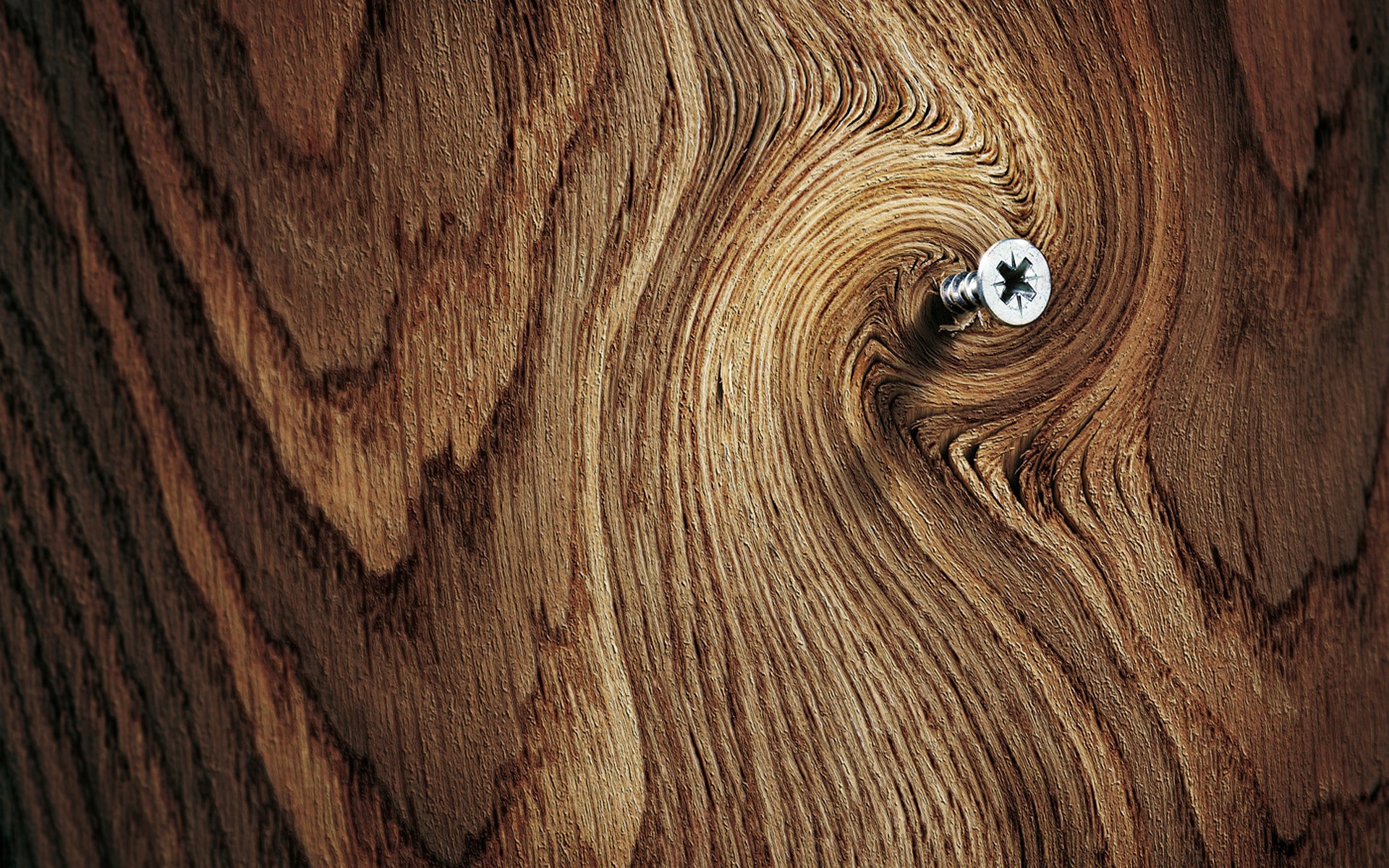 wood, screw :: Wallpapers