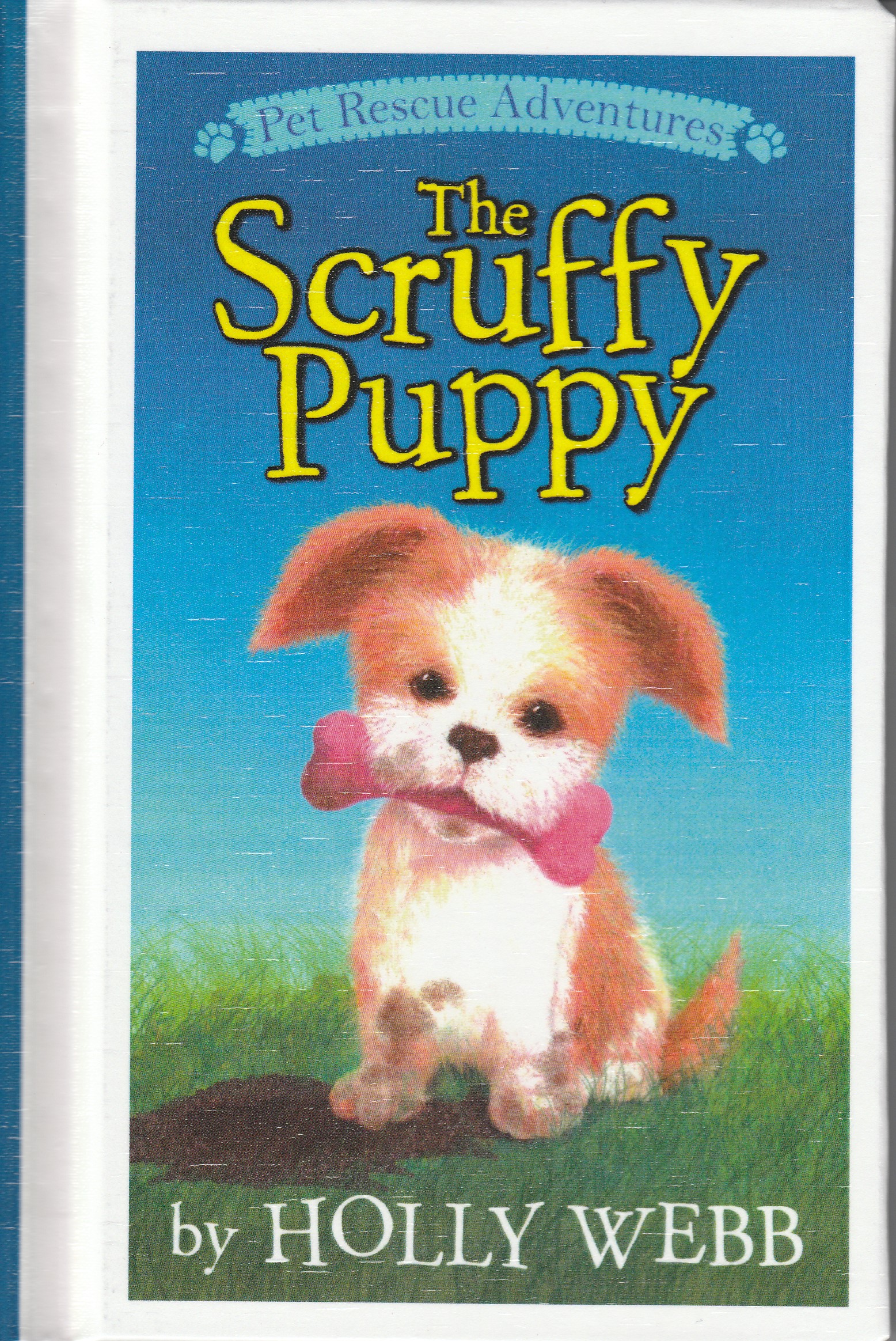 Pet Rescue Adventures: The Scruffy Puppy