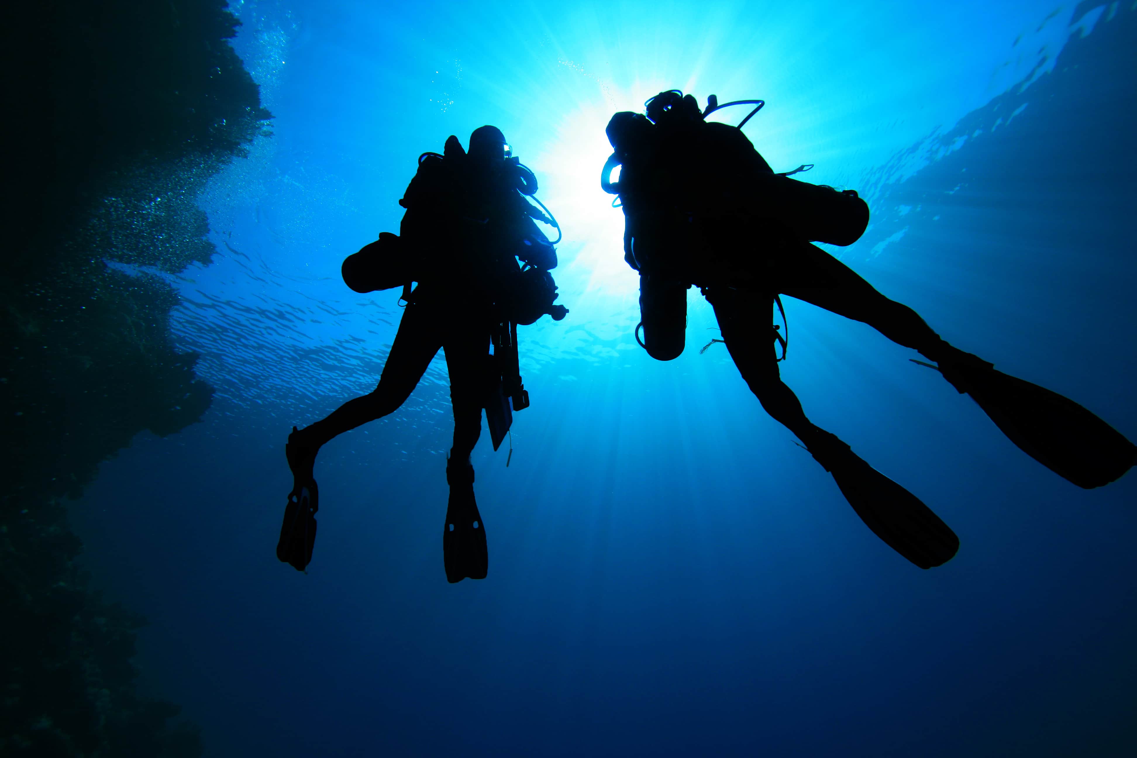 Scuba Diving 101: How to Adapt to Different Diving Environments ...