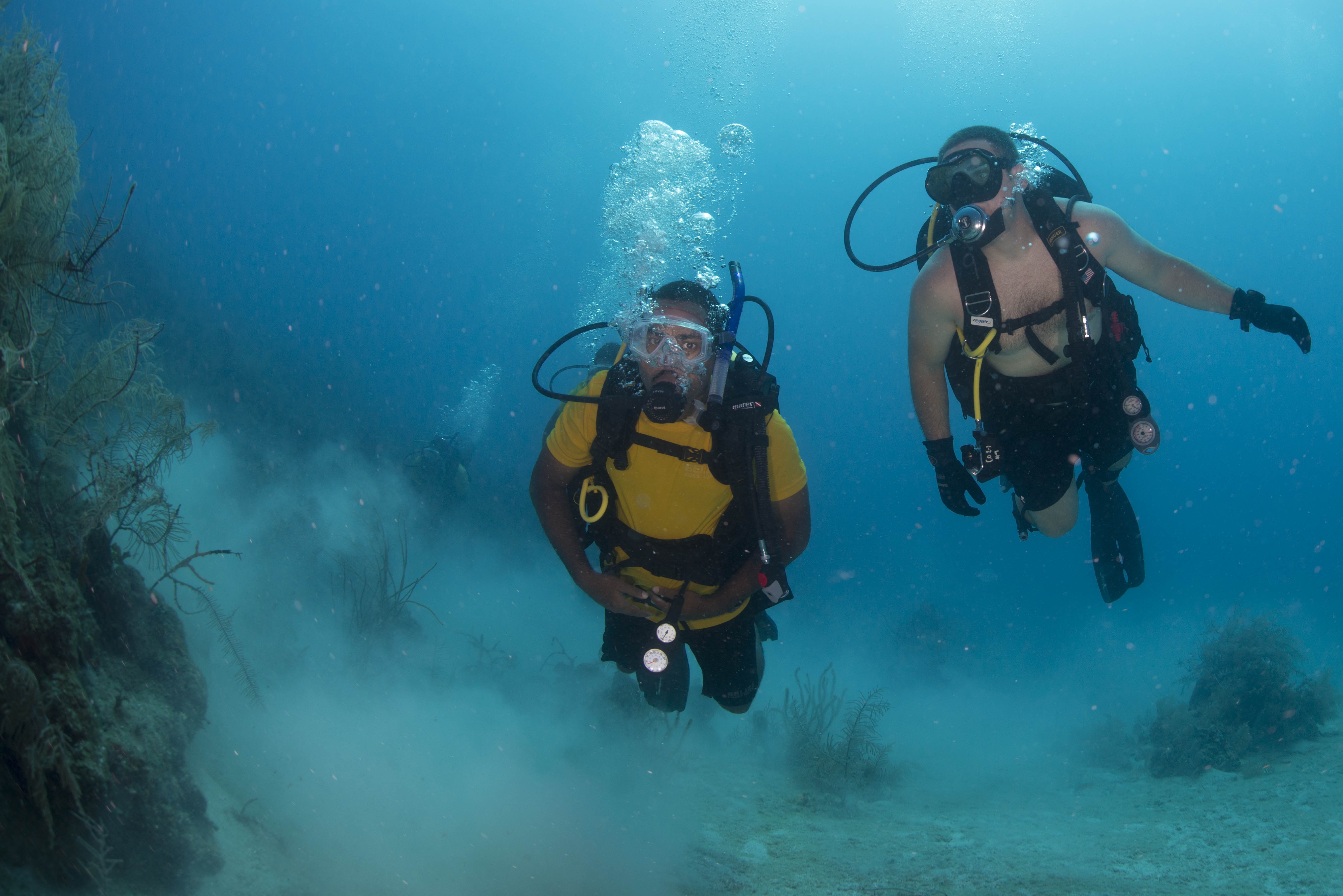Scuba divers in the ocean photo