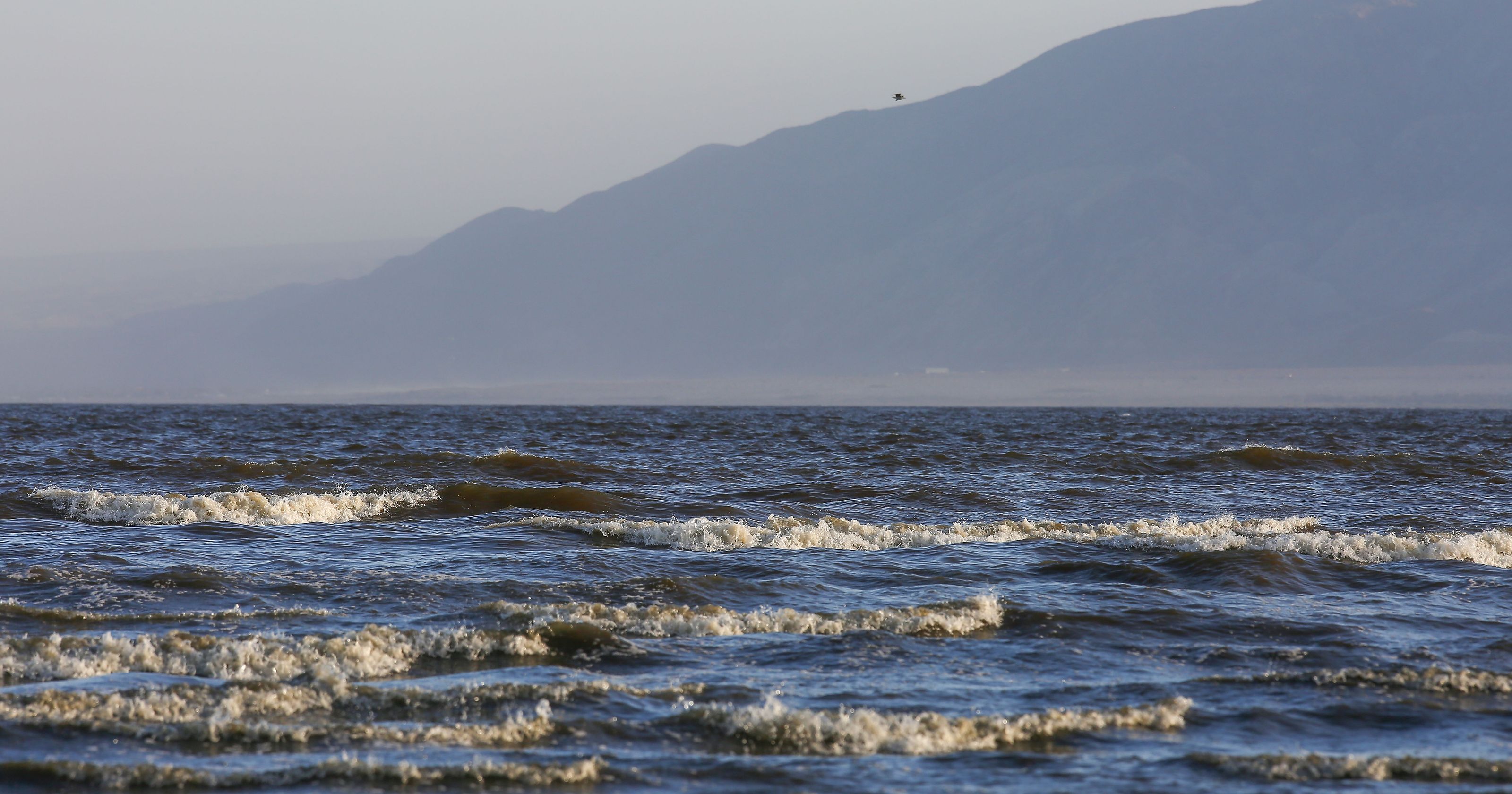 Agencies urge California water board to approve Salton Sea agreement