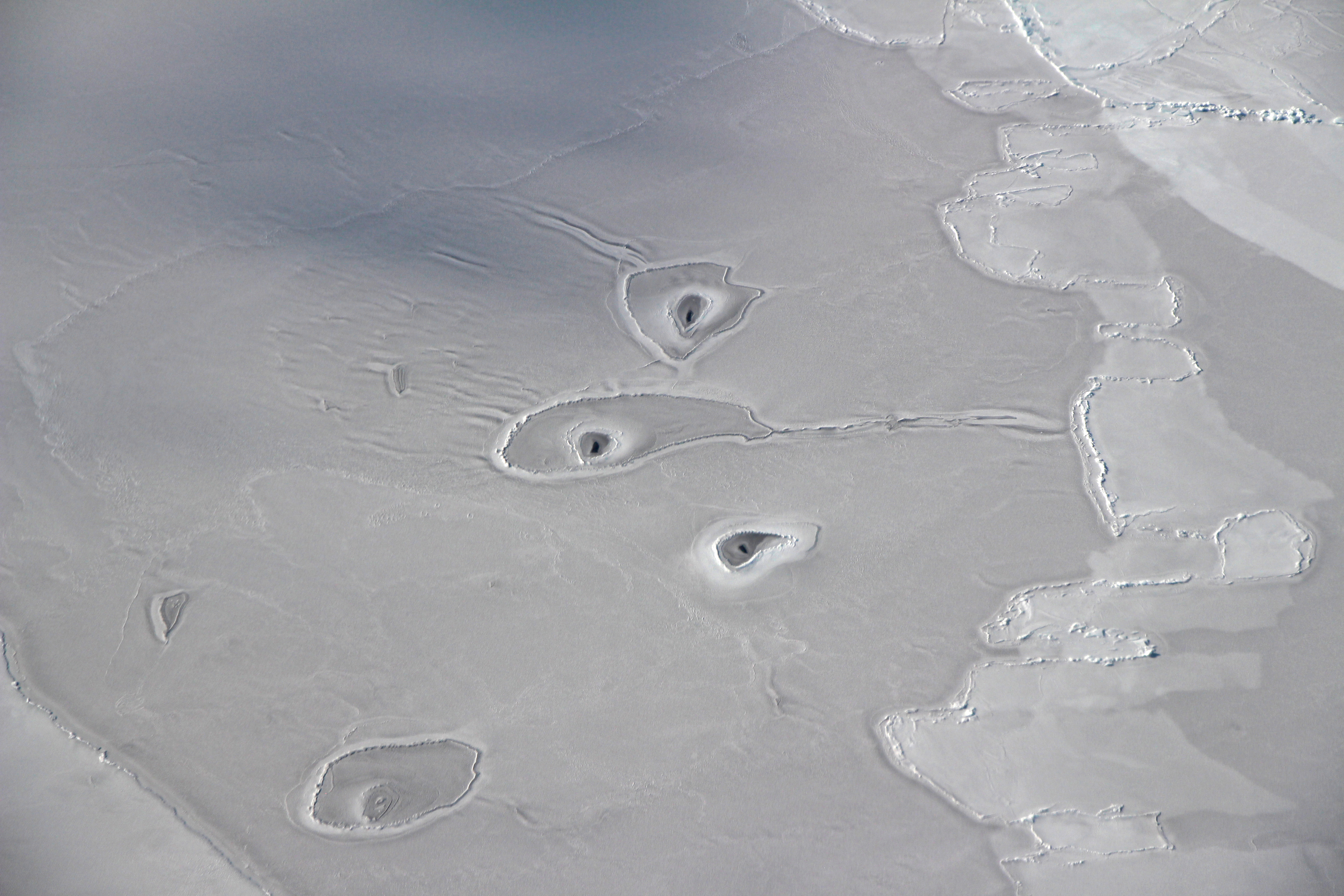 Curious Circles in Arctic Sea Ice : Image of the Day