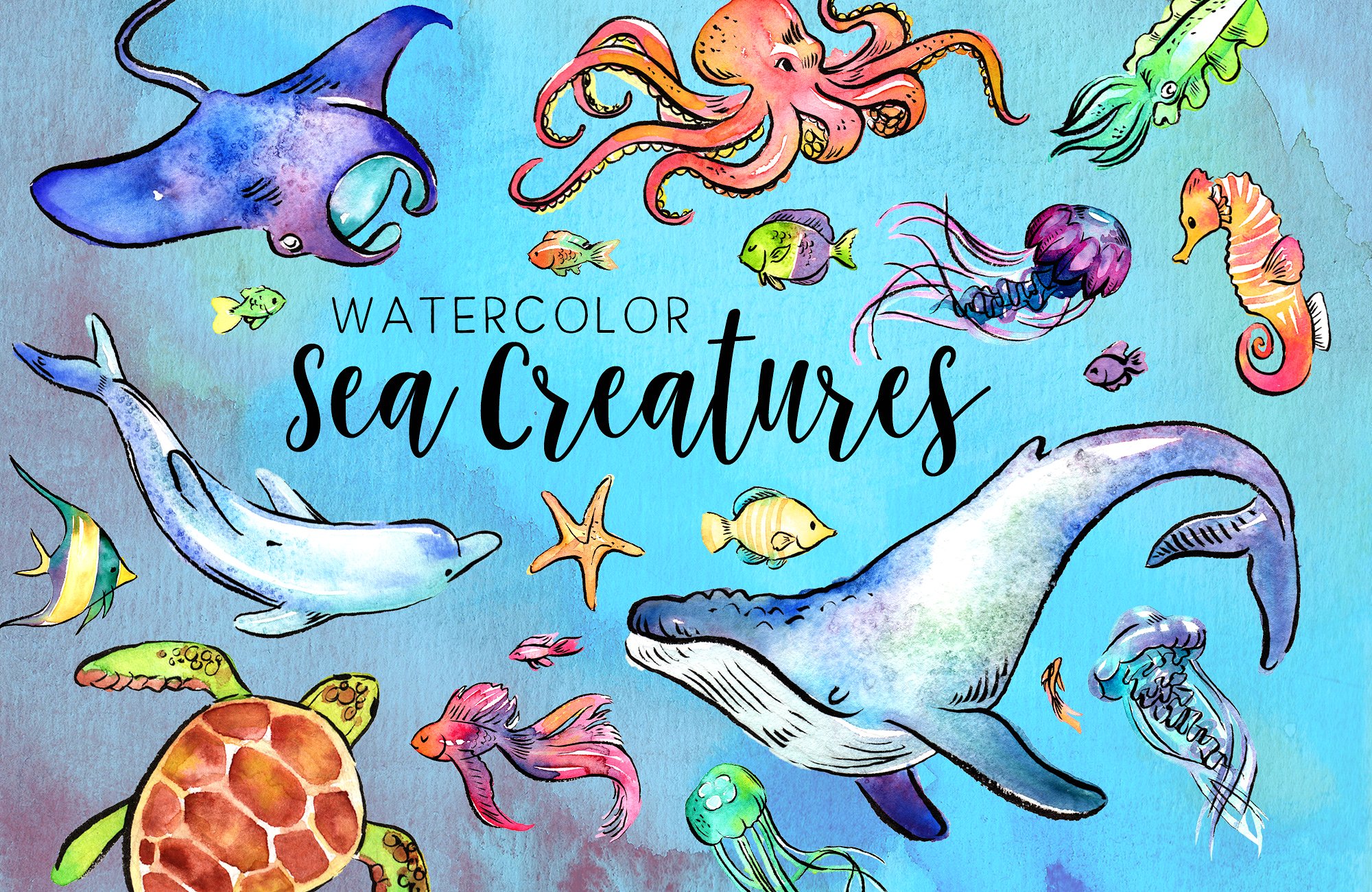 27 Watercolor Sea Creatures ~ Illustrations ~ Creative Market