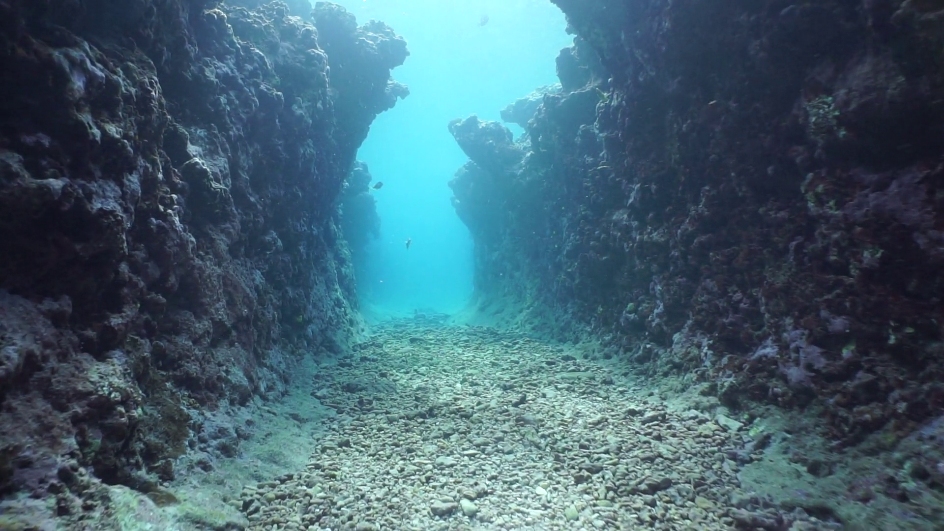 Moving in a natural trench underwater carved into the seafloor on ...
