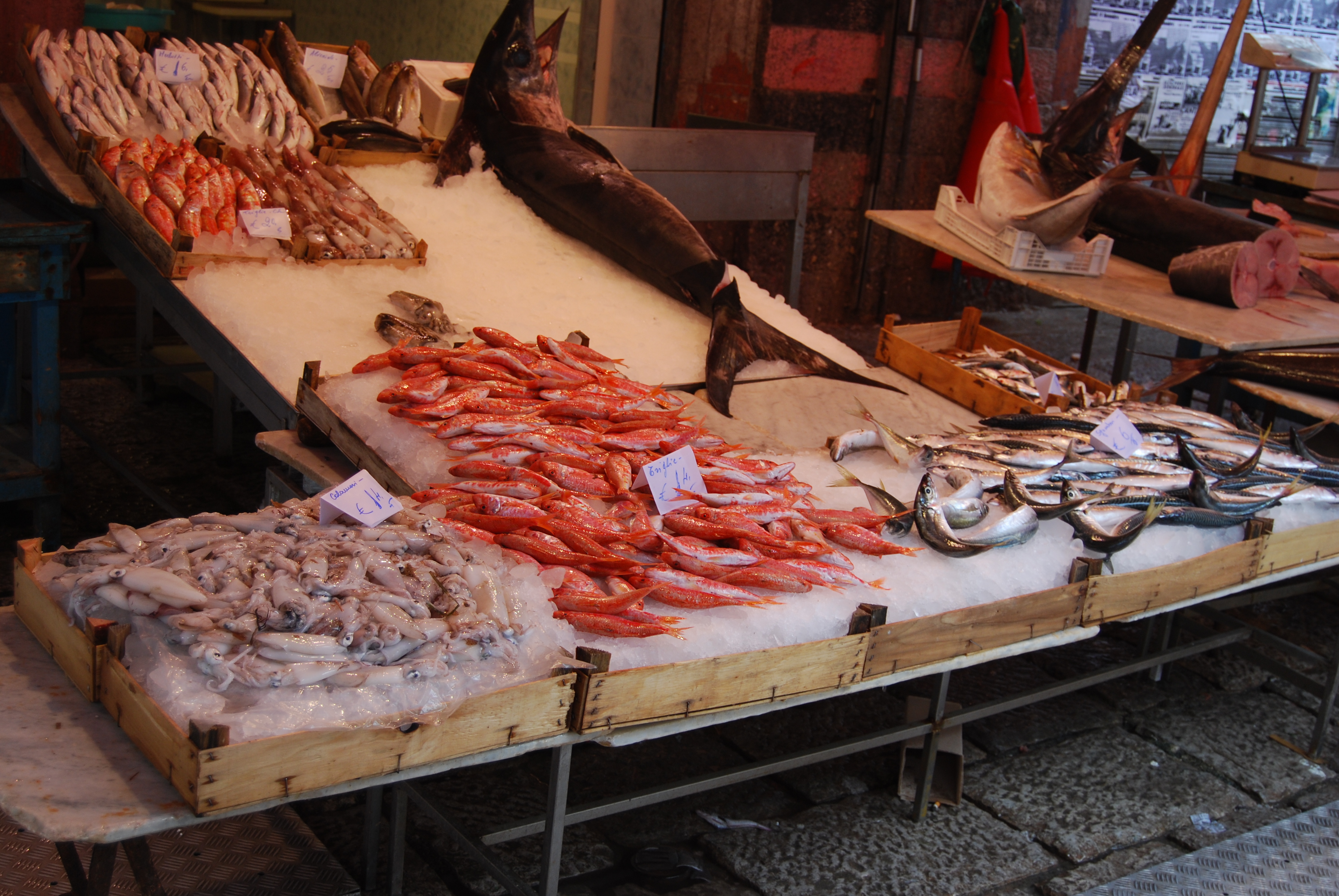 Getting to Know Your Fish Market | Atlantic Seafood Market