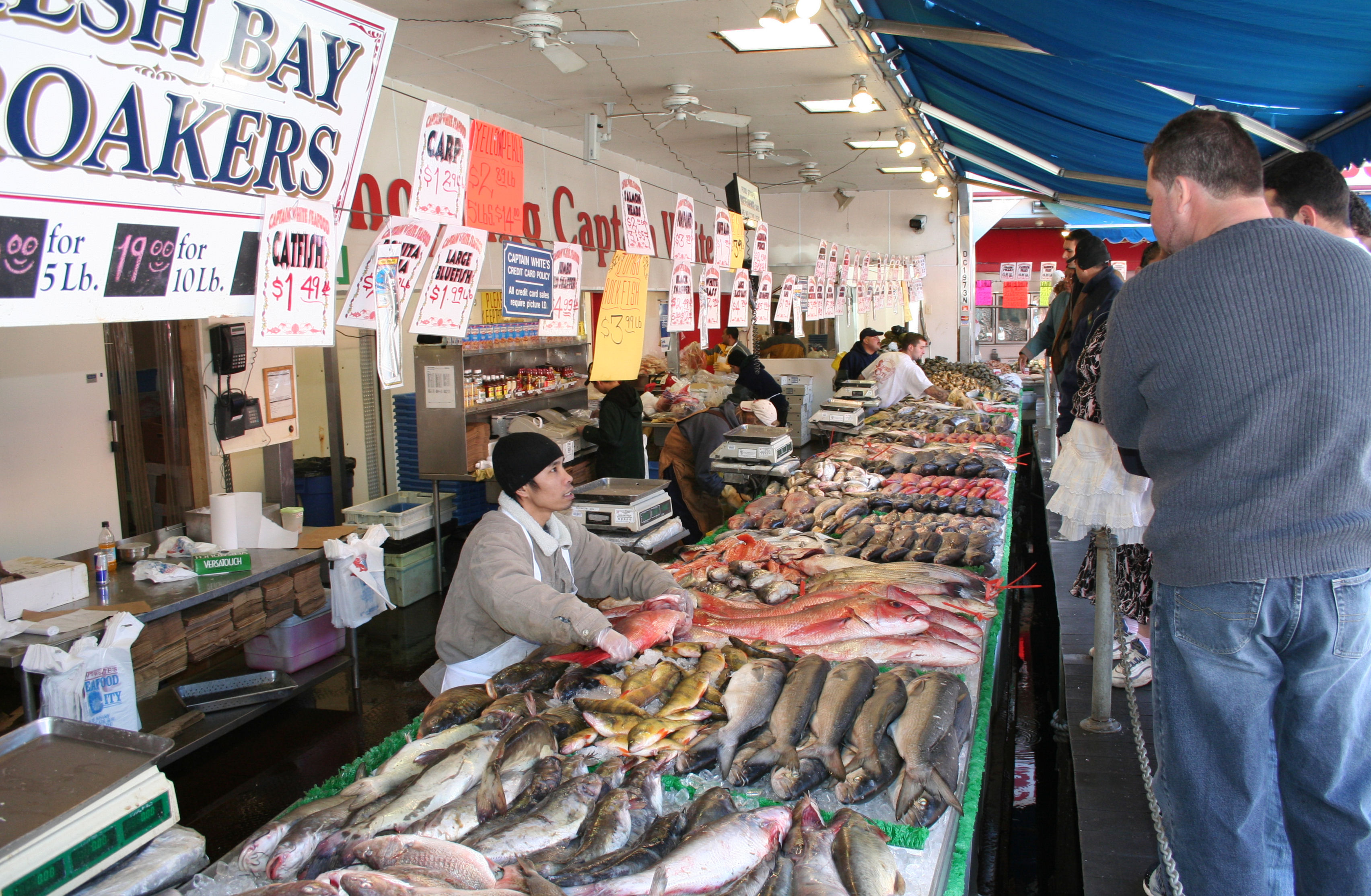 File:Wash fish market.jpg - Wikimedia Commons