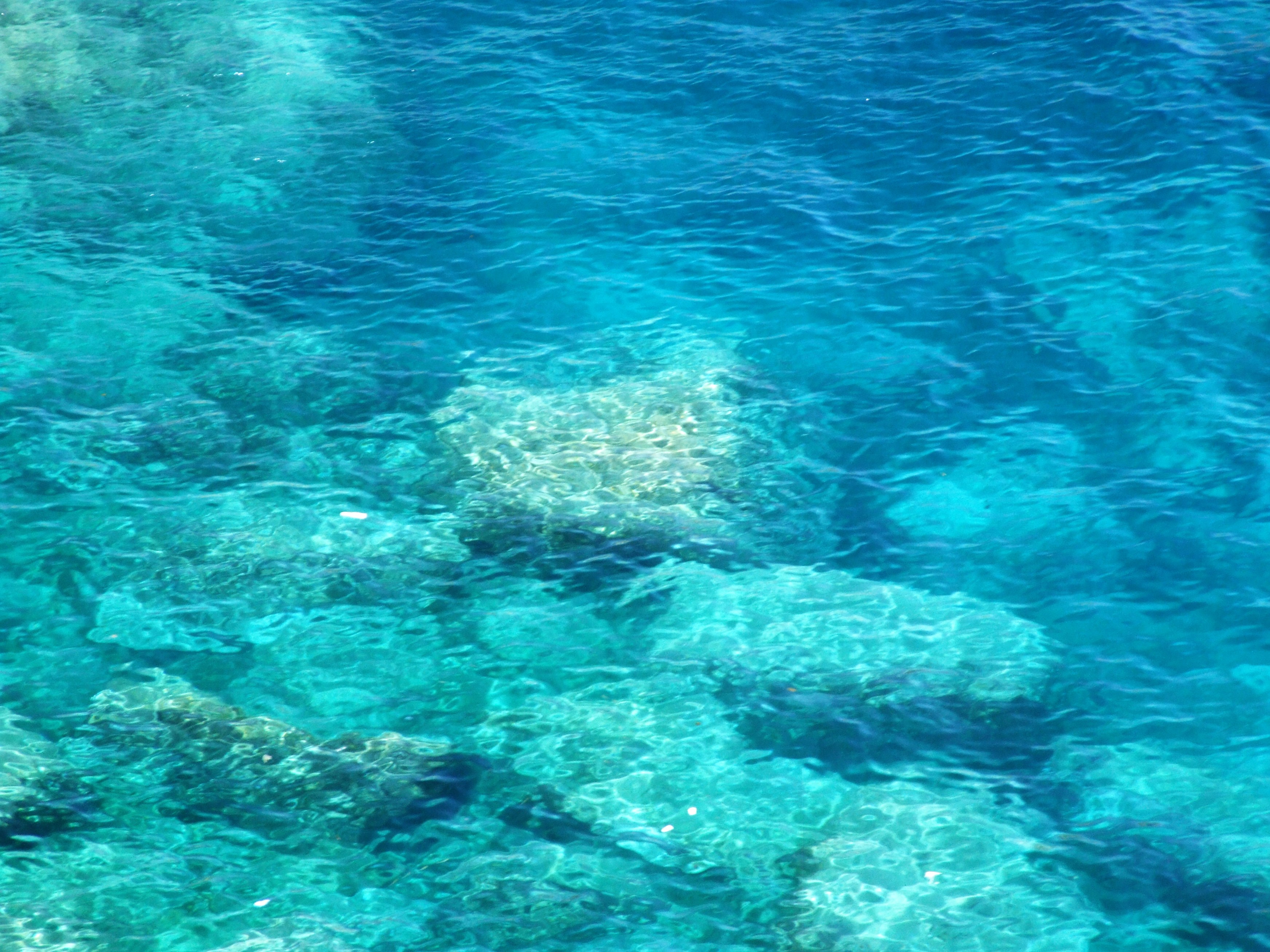 Sea isola bella-taormina-messina-sicilia-italy - creative commons by gnuckx photo