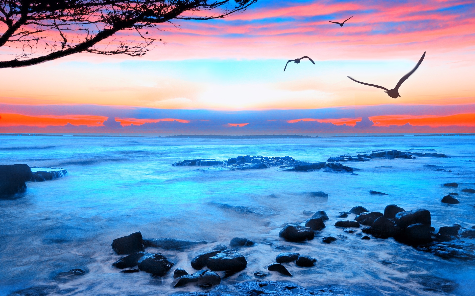 Sunset seagulls sea landscape wallpaper | 1920x1200 | 97842 ...