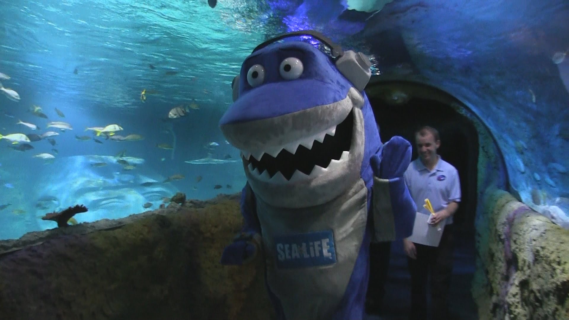 Inside Sea Life Aquarium Orlando at I-Drive 360 - YouTube