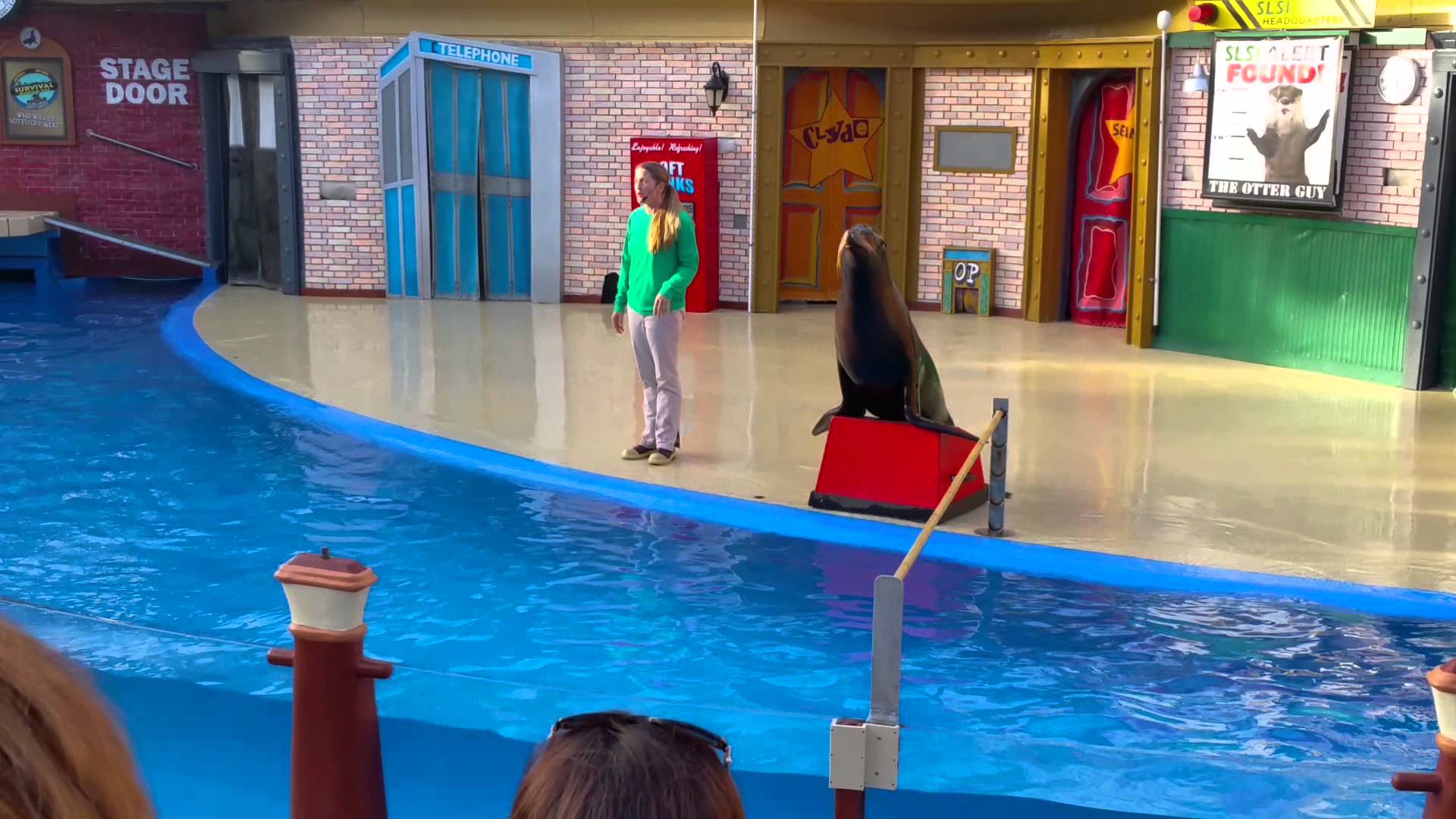 Sea world Sea Lion show Live 2015 - YouTube