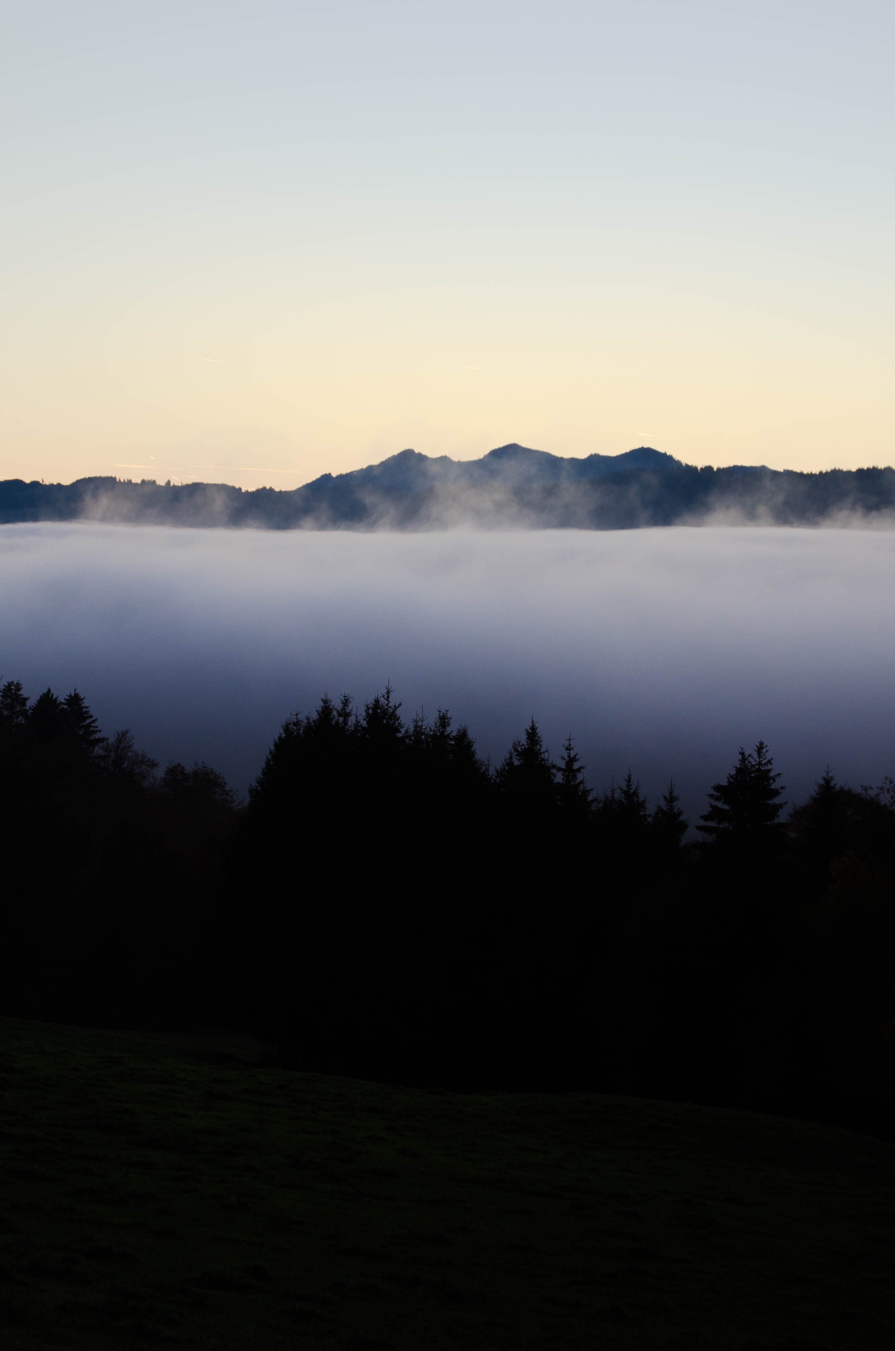 Sea Of Clouds, Dawn, Dusk, Fog, Landscape, HQ Photo