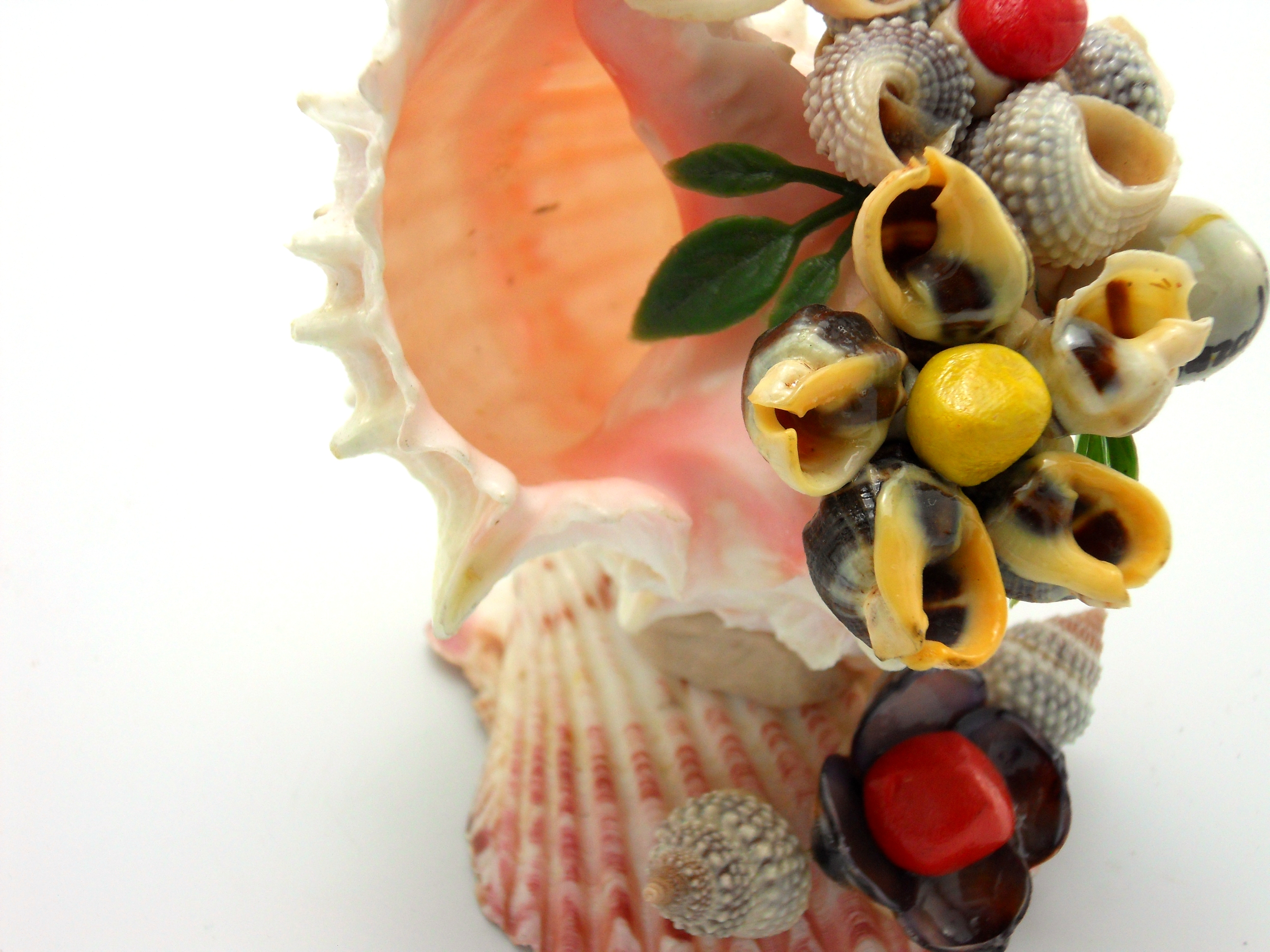 Sea-shell figure photo