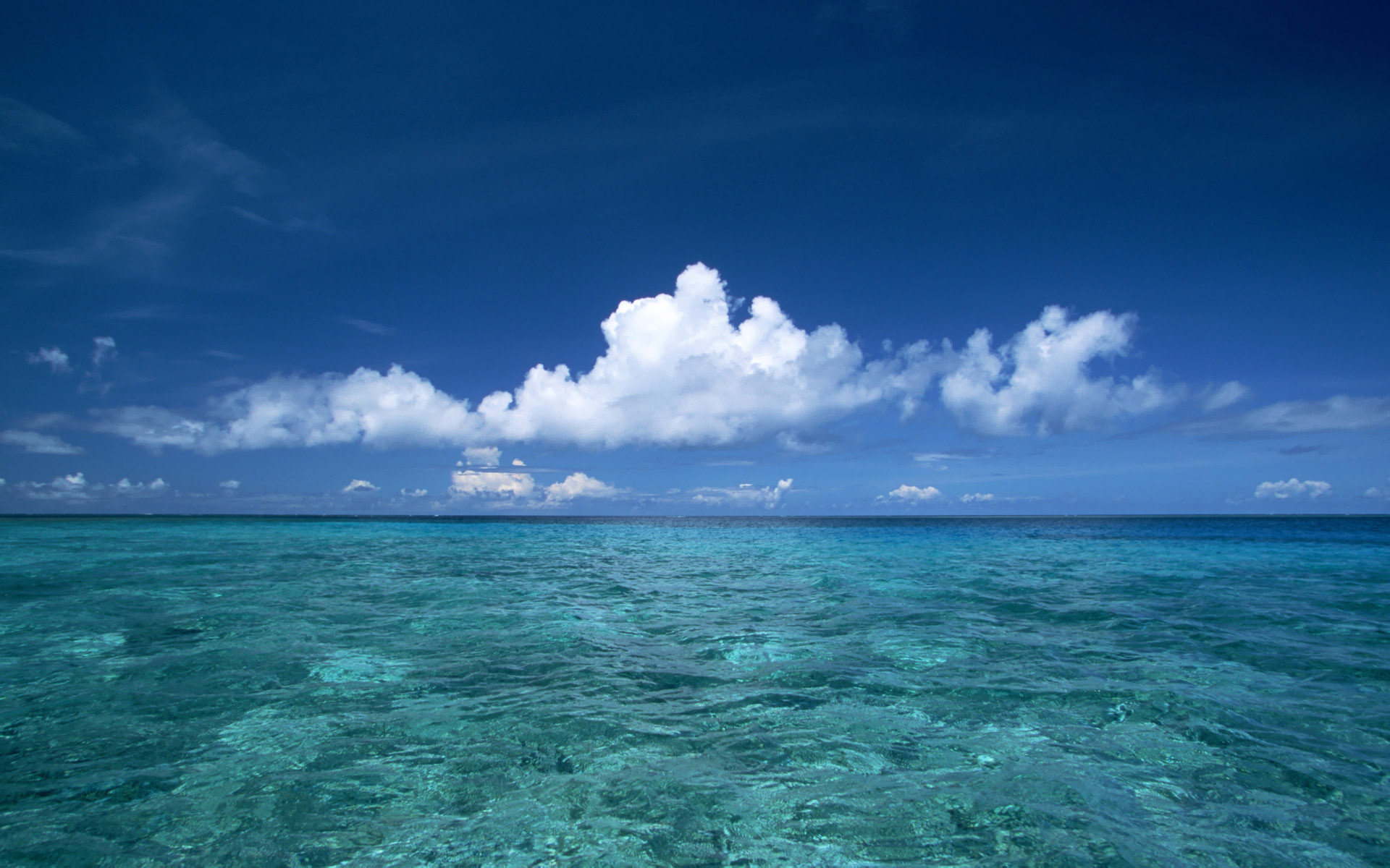 Океаном купить москва. Карибское море Атлантический океан. Фотографии моря. Красивое море. Голубое море.