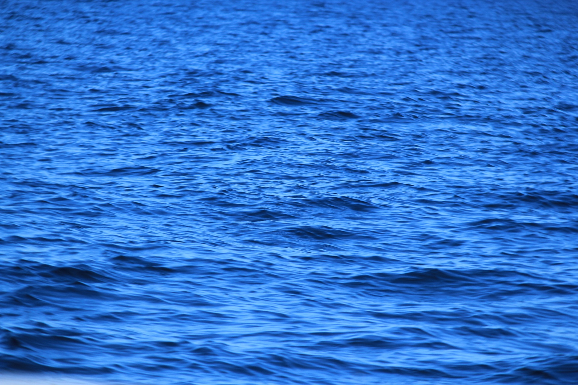 Sea Surface Background Free Stock Photo - Public Domain Pictures