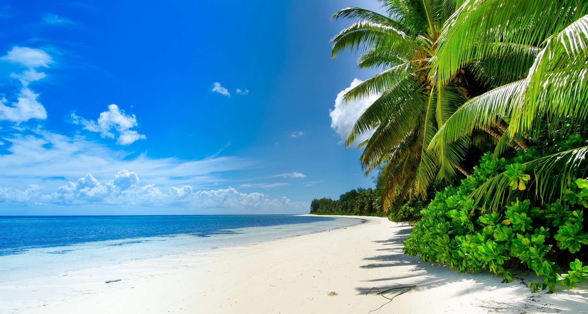 Beaches: Tropical Beach Ocean Sky Splendor Summer Sand Nature Sea ...