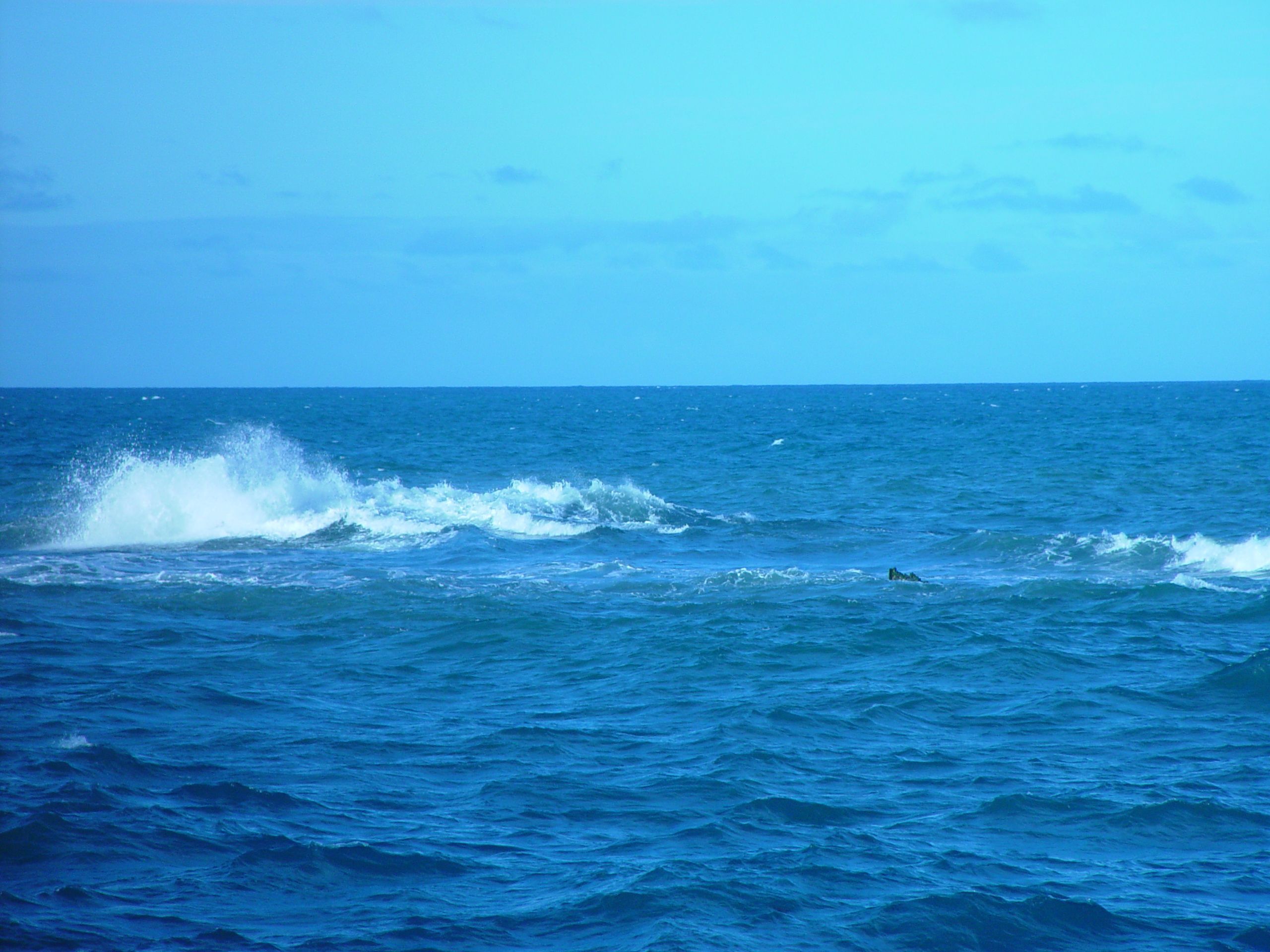 File:Wave open sea.jpg - Wikimedia Commons