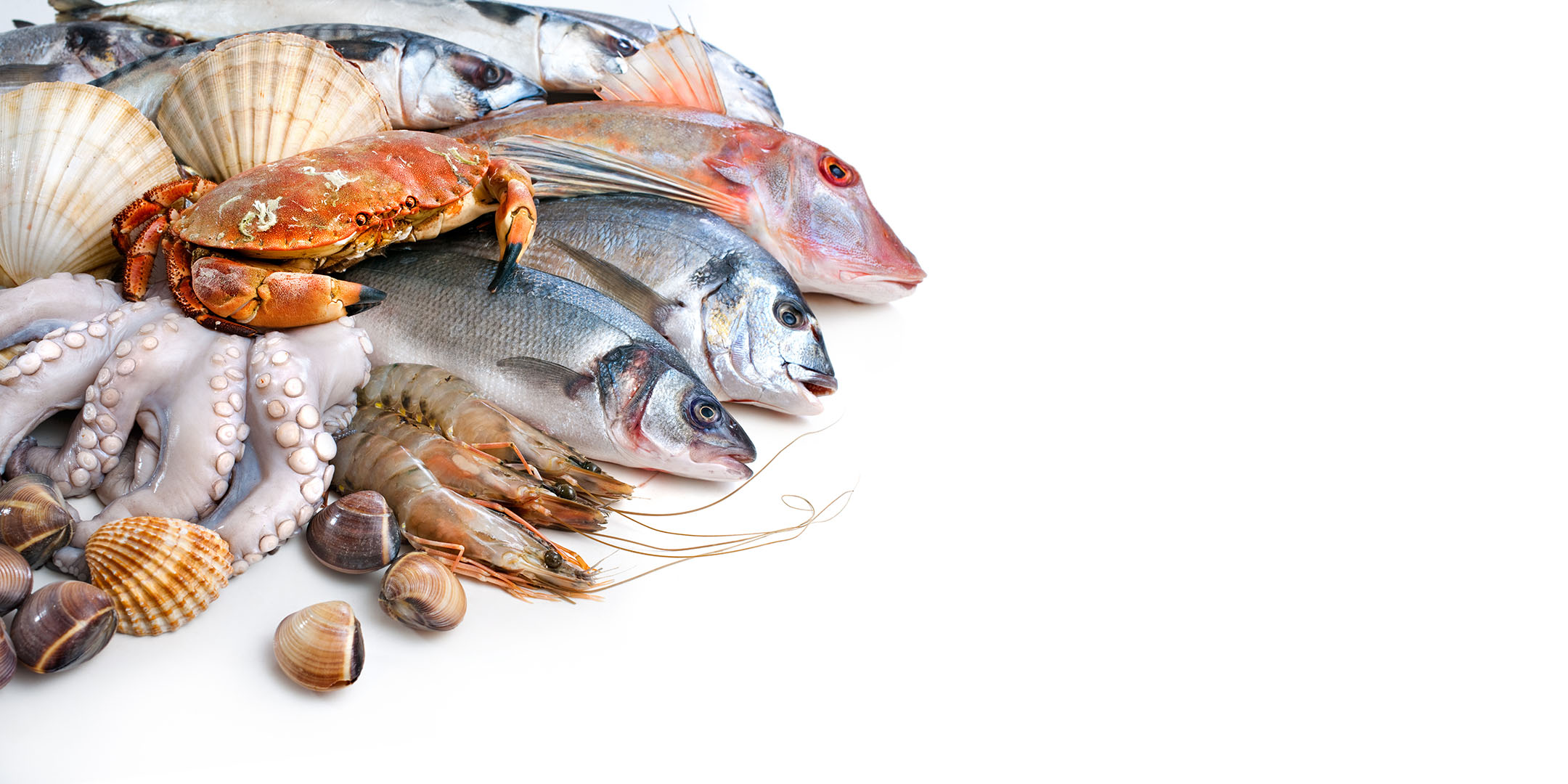 Spectacular Seafood - The Essential Ingredient