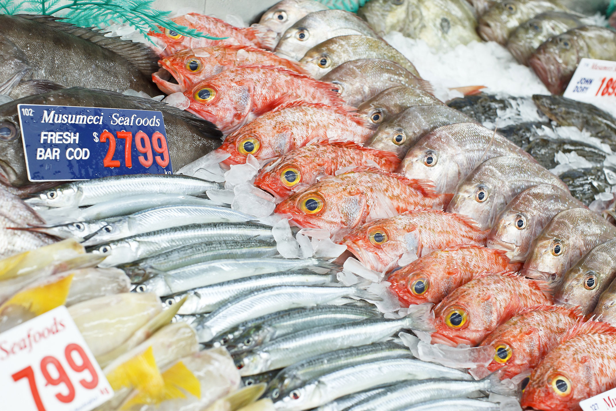 Fish Market dreams meaning - Interpretation and Meaning