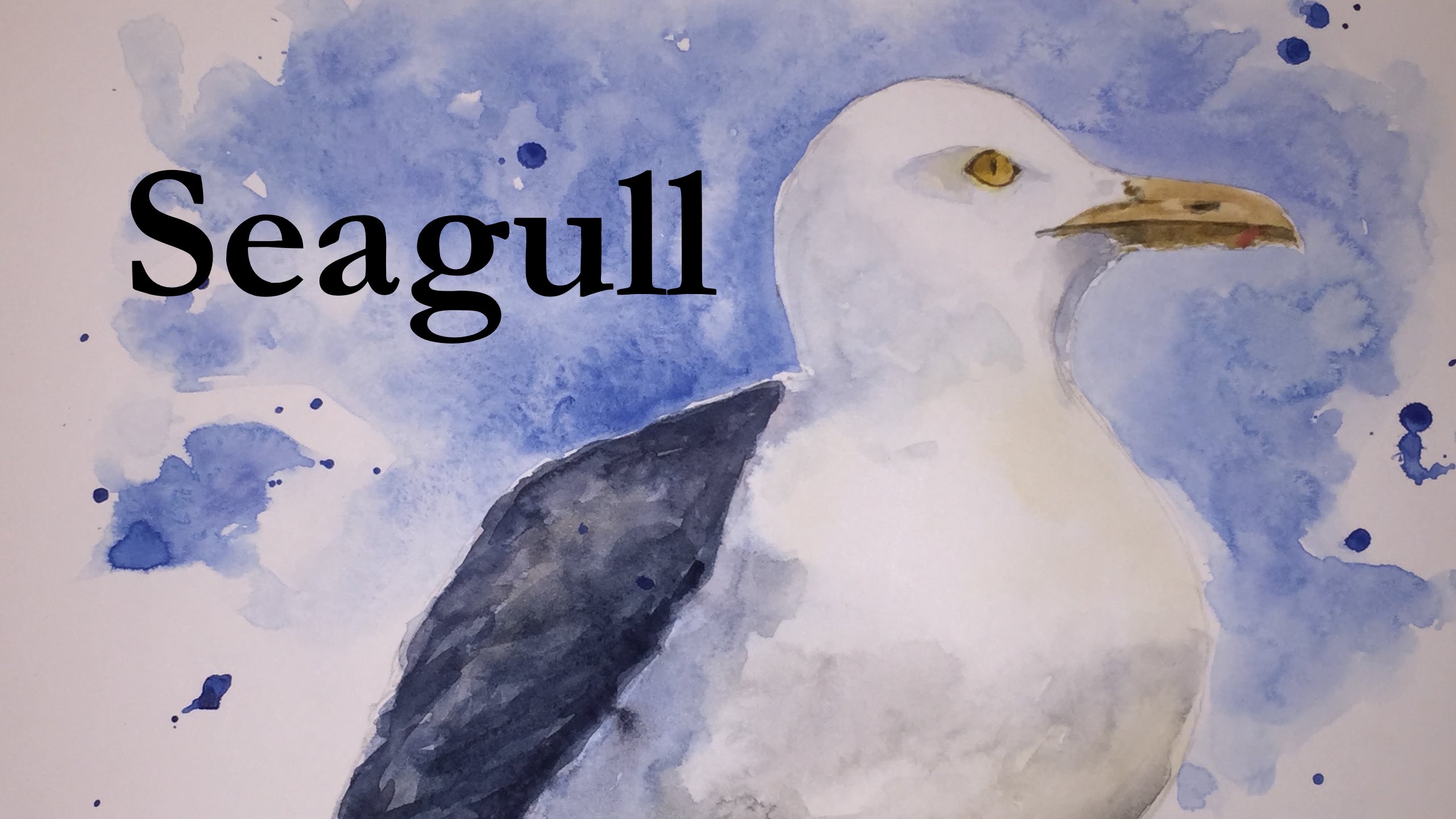 How to Paint a Seagull in Watercolour Watercolor Bird Shore Sea ...