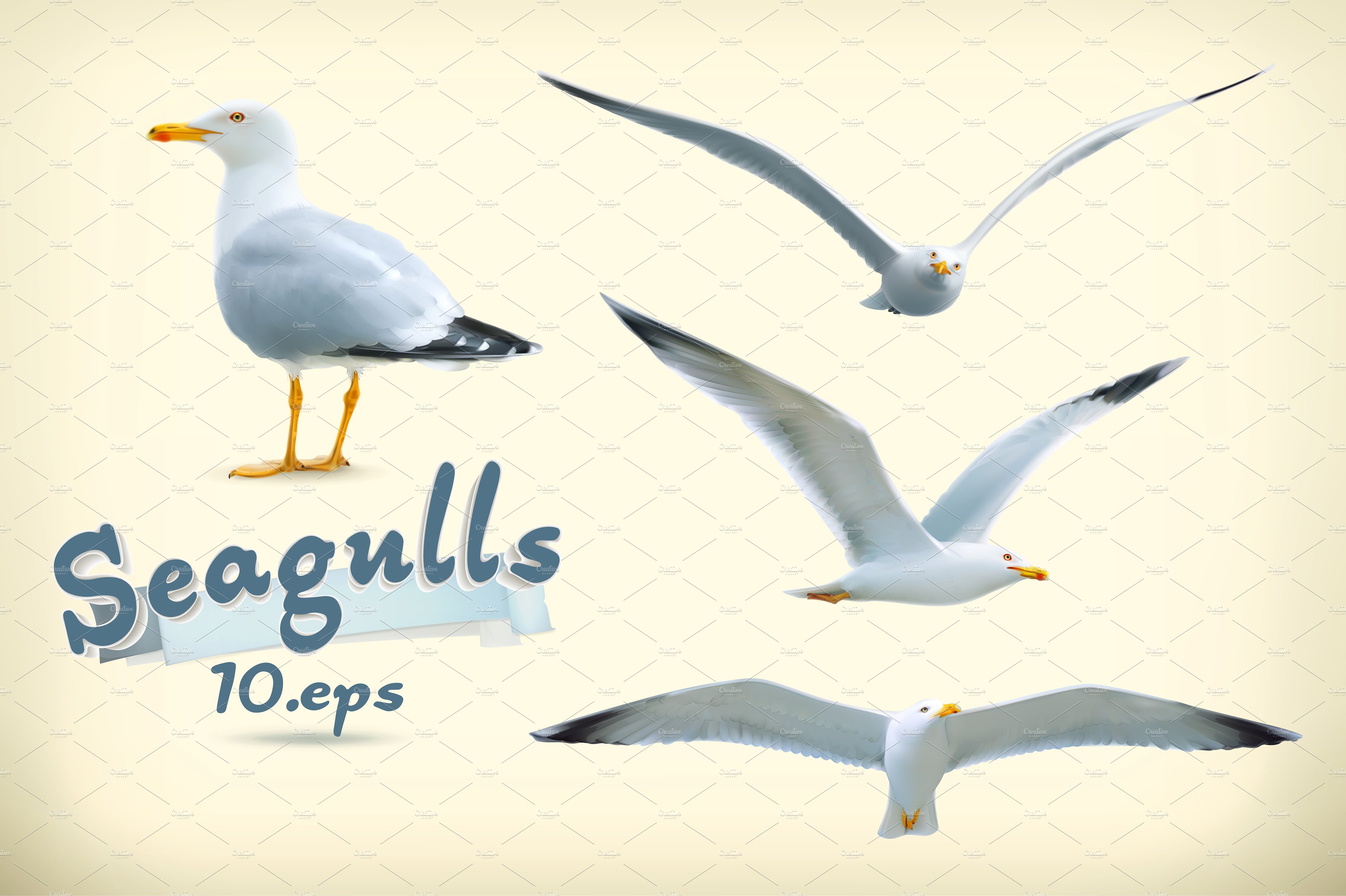 Seagulls vector illustration ~ Illustrations ~ Creative Market