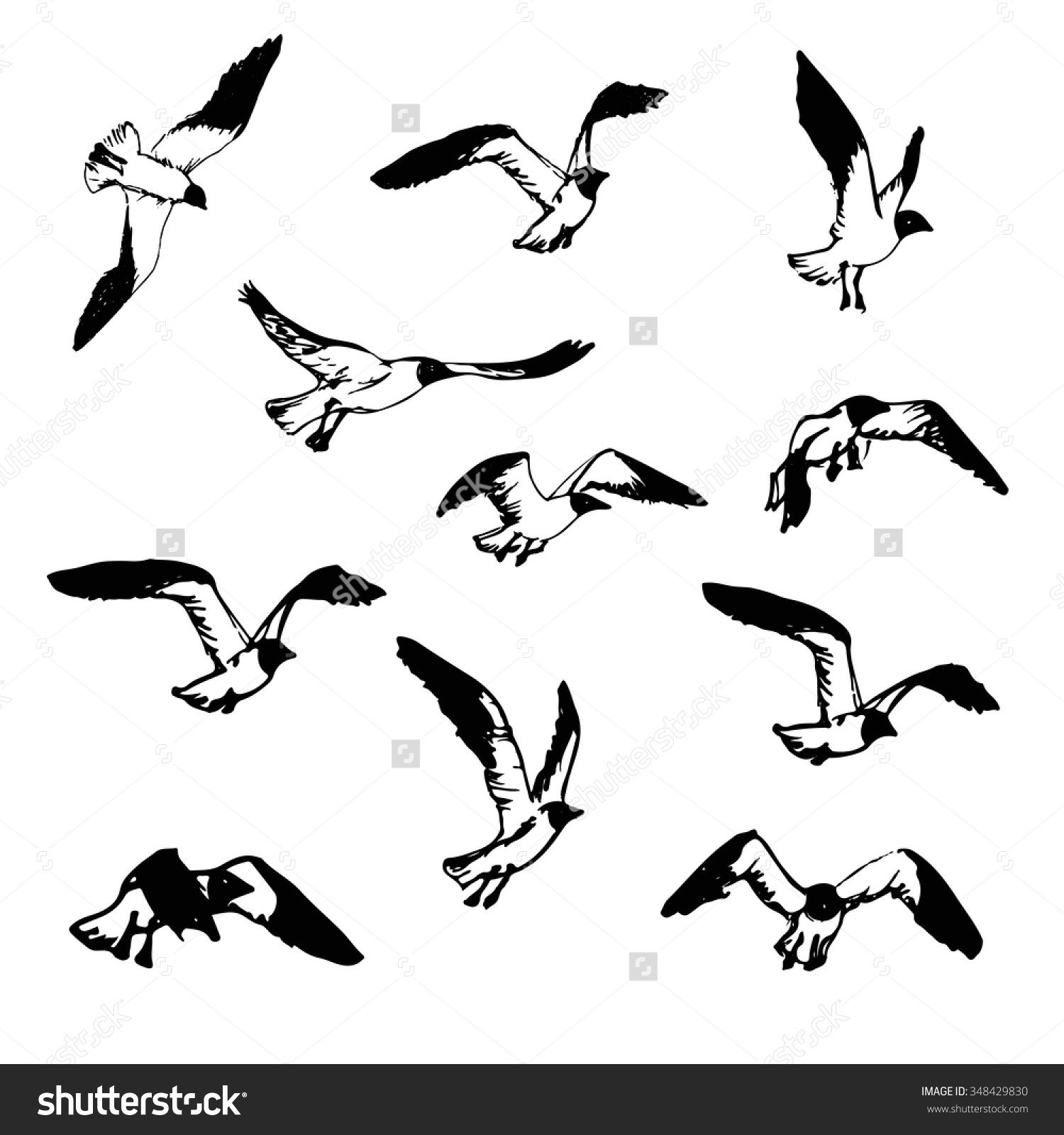 Hand Drawn Flying Seagulls. Black And White Illustration Sketch ...