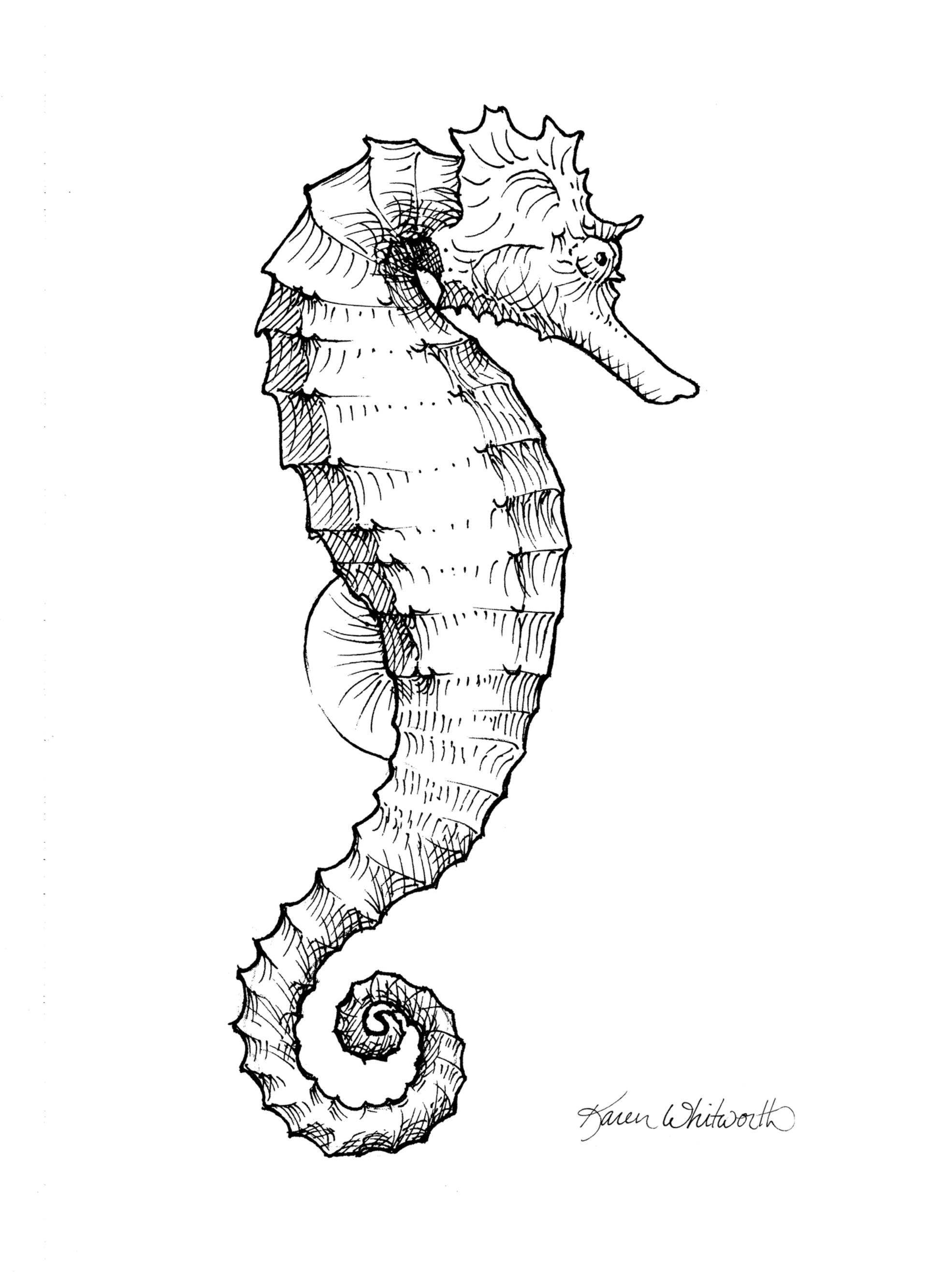 Saatchi Art: Seahorse - Nautical Black And White Drawing Drawing by ...