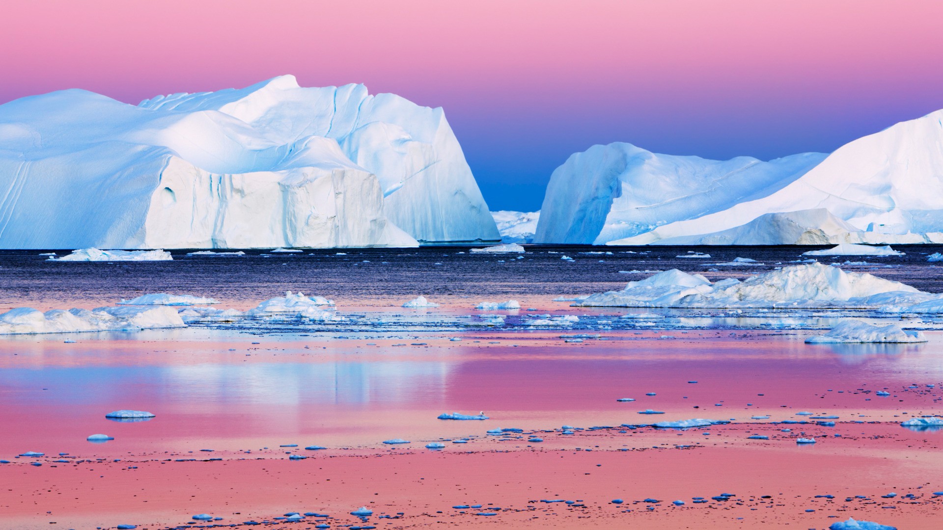 Oceans: Sky Arctic Sea Beautiful Pink Seascape Icebergs Live Ocean ...
