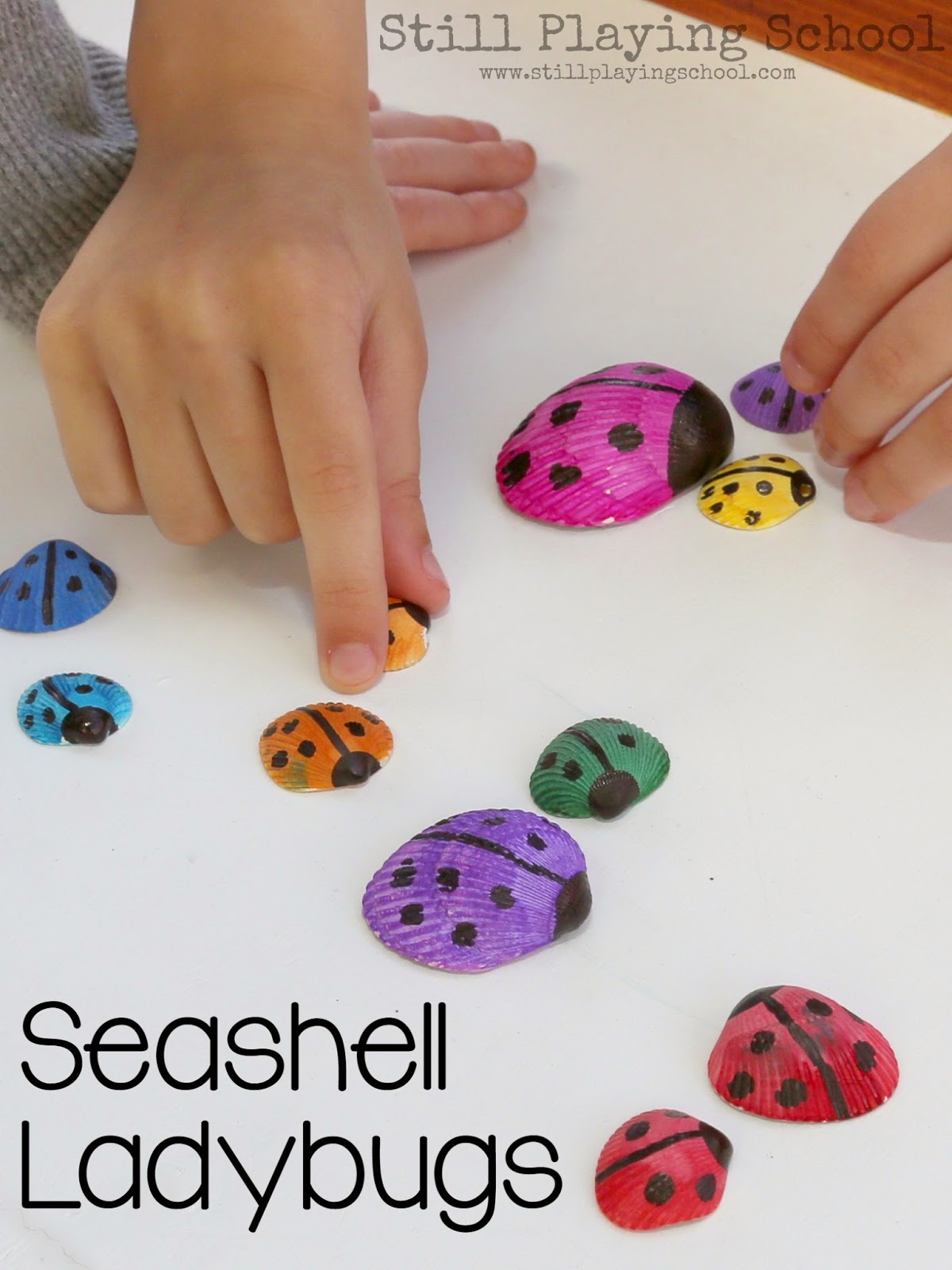 Seashell Ladybug Craft | Still Playing School